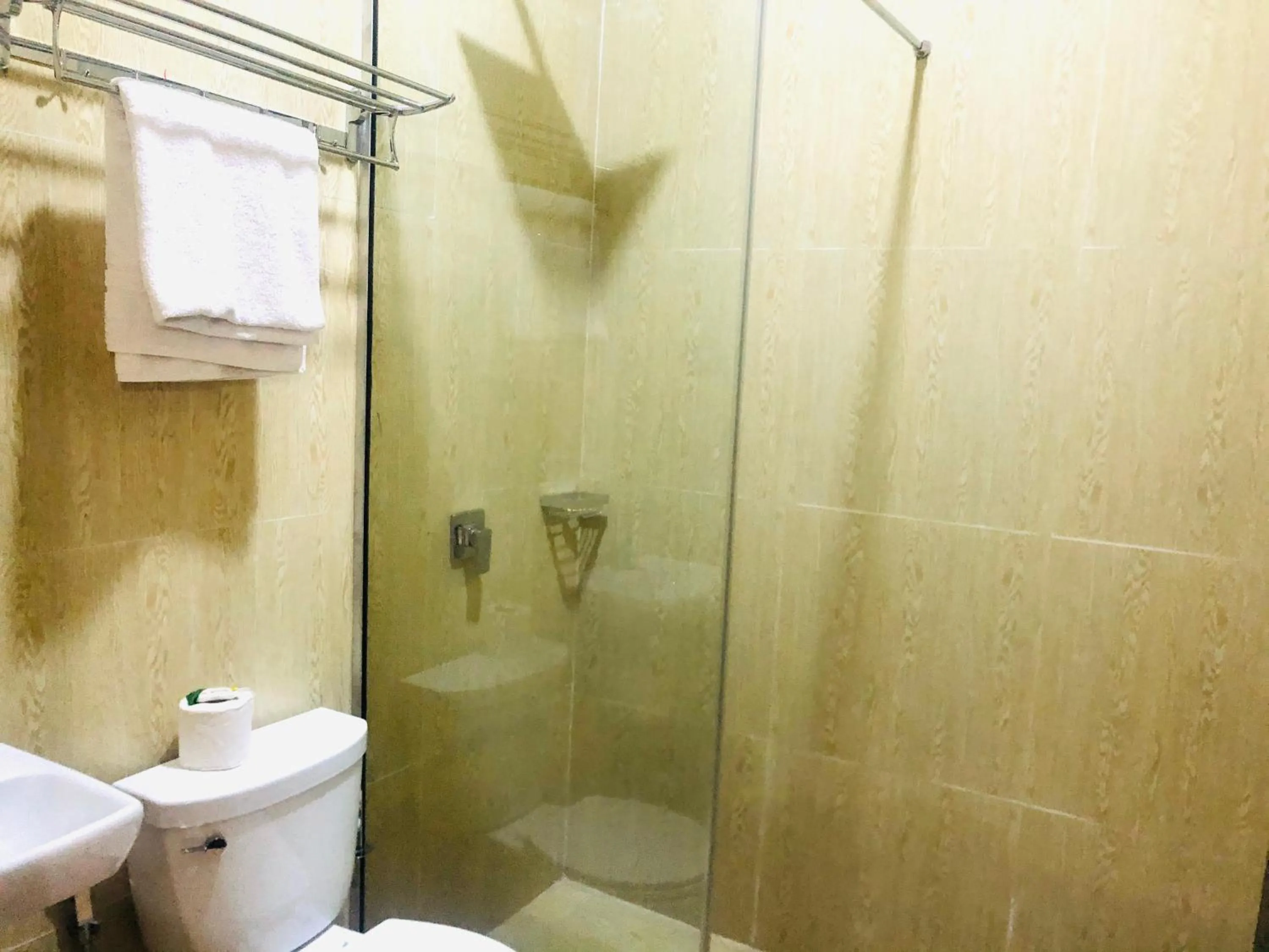 Toilet in Mayor's & Diplomat Suite - GRA