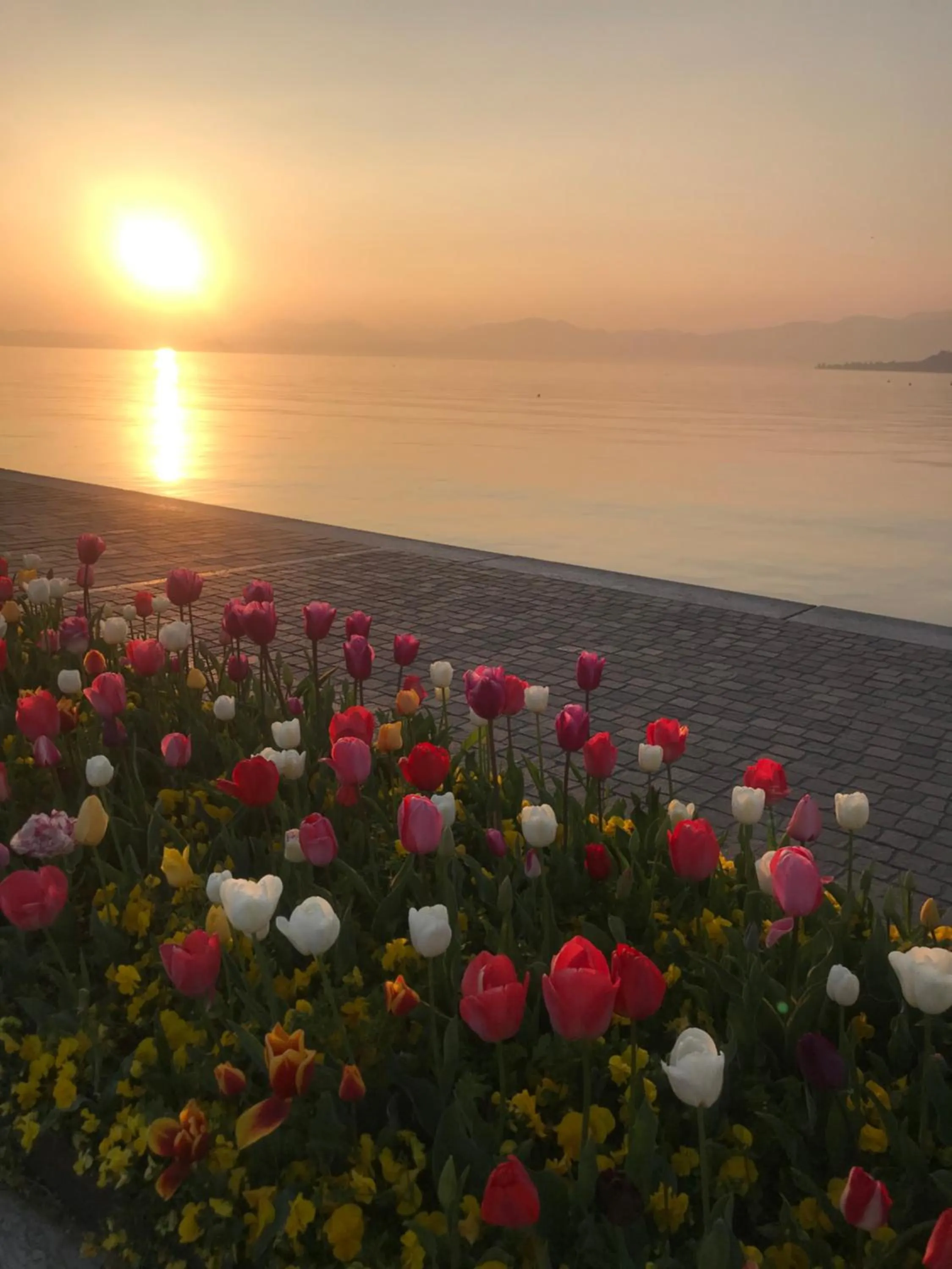 Residence Cà di Capri