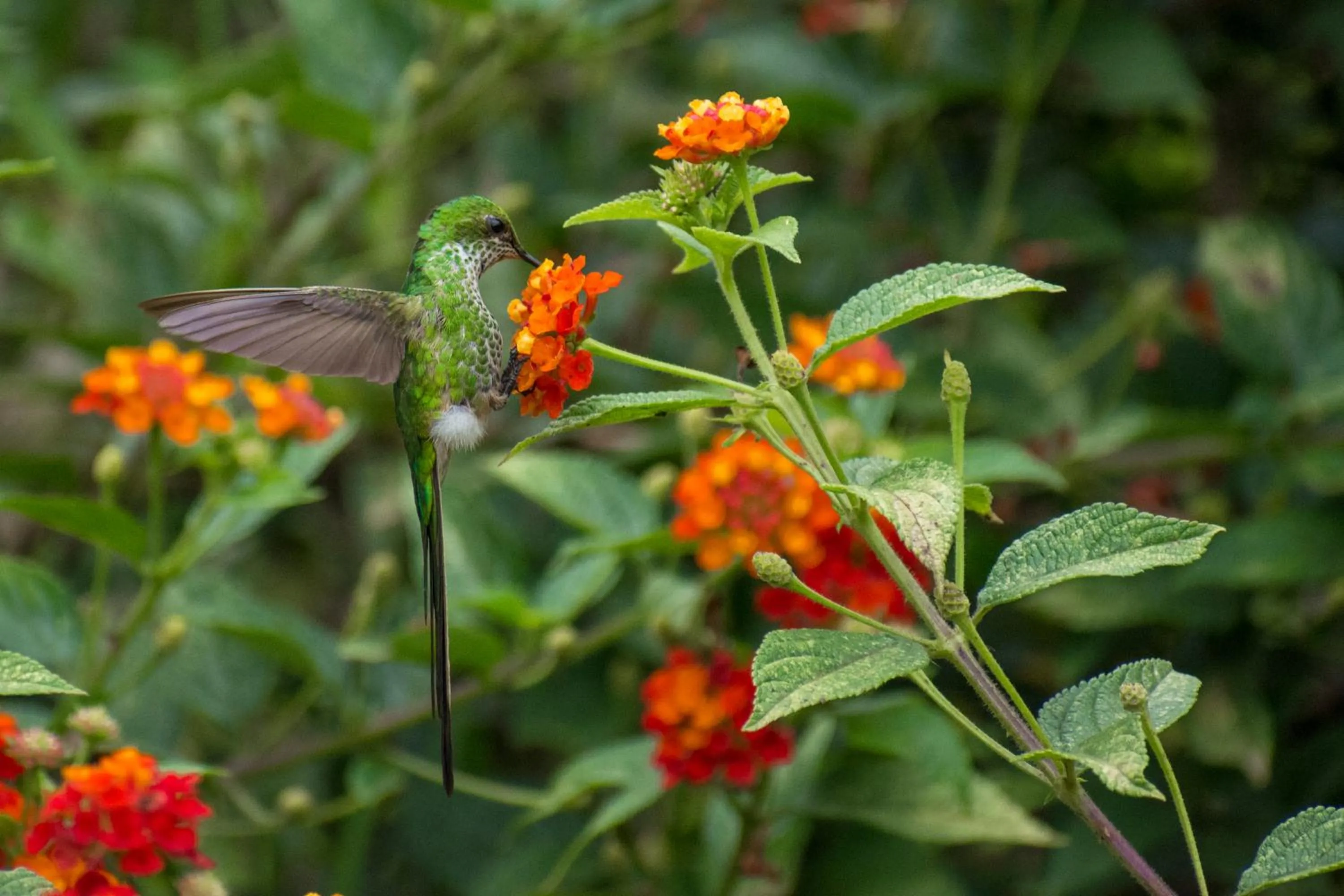 Hotel Villa de Paris