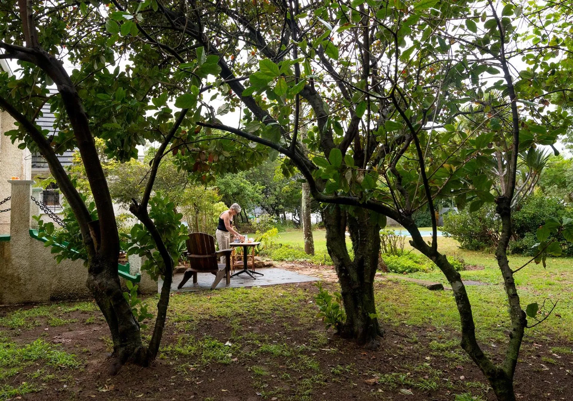 Garden in Seven Gables