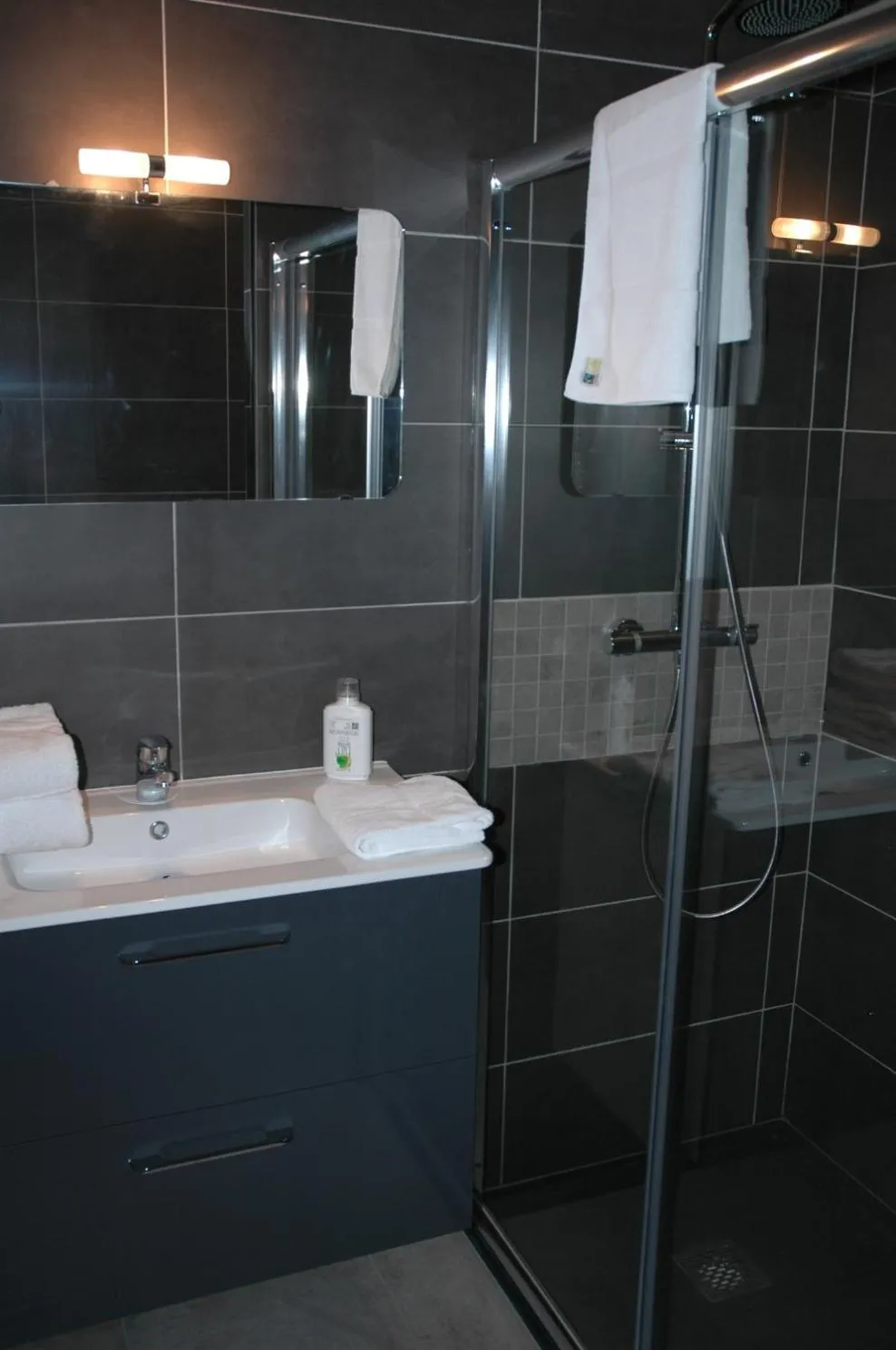 Bathroom in The Nest