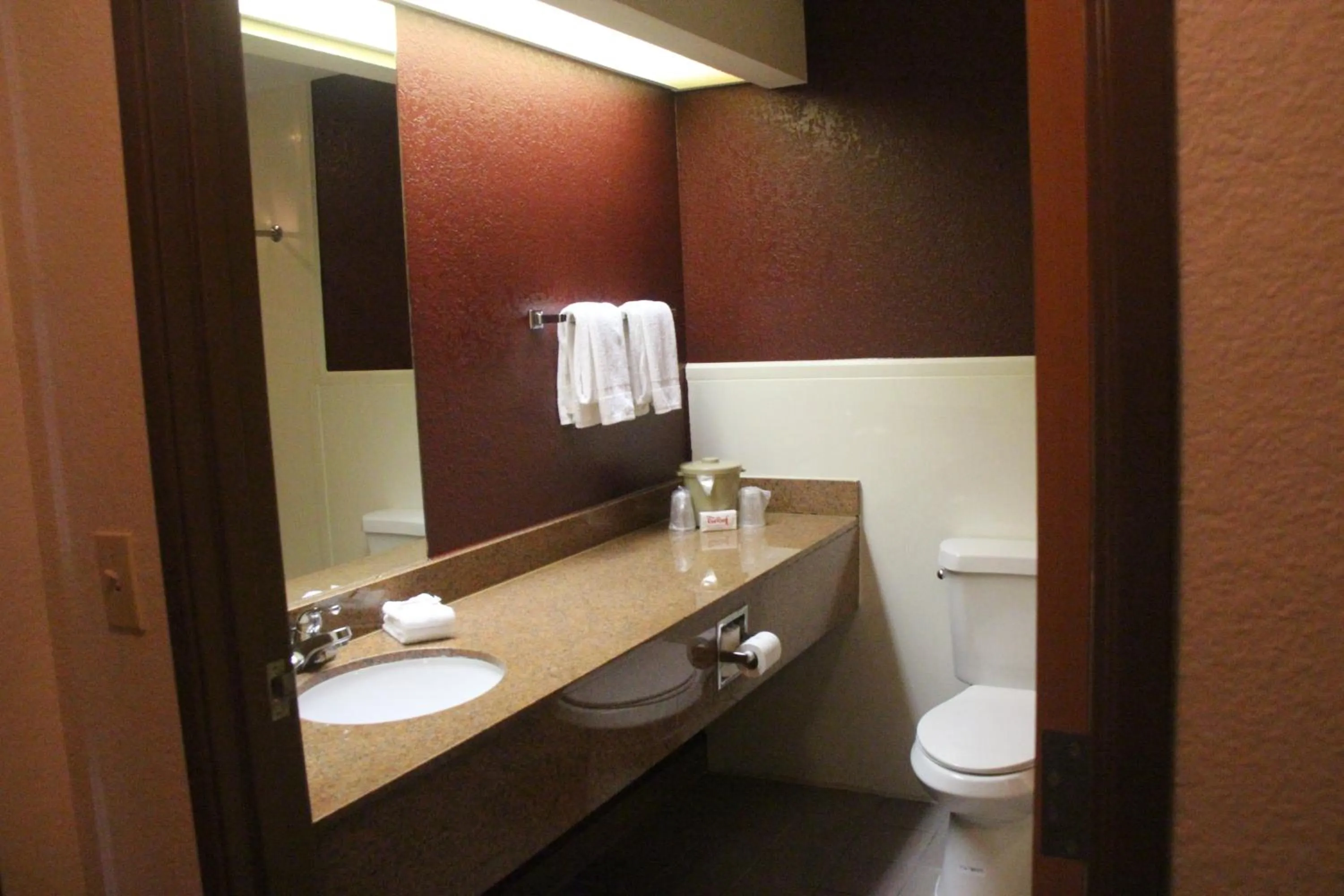 Standard Room with Two Queen Beds Disability Access Roll-In Shower Non-Smoking - single occupancy in Red Roof Inn Pharr - McAllen