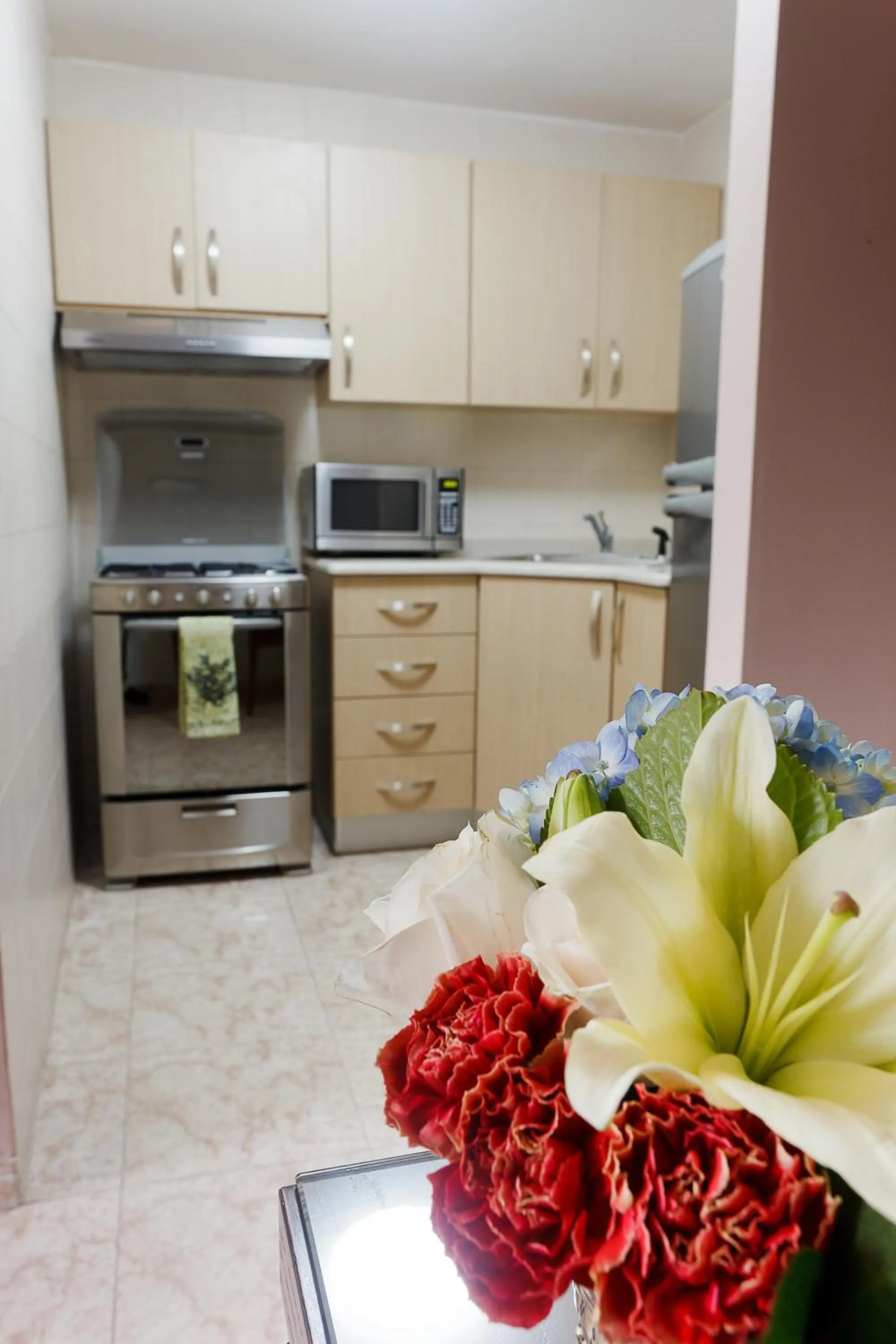 Kitchen or kitchenette in Hotel Coral Suites