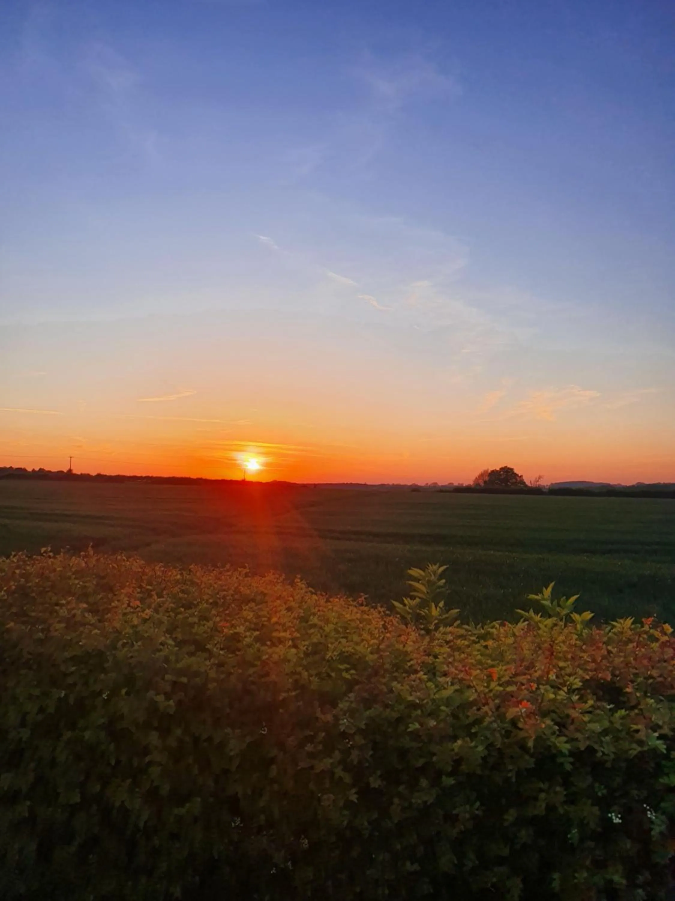 Natural landscape in The Royal Arms Hotel Room Only