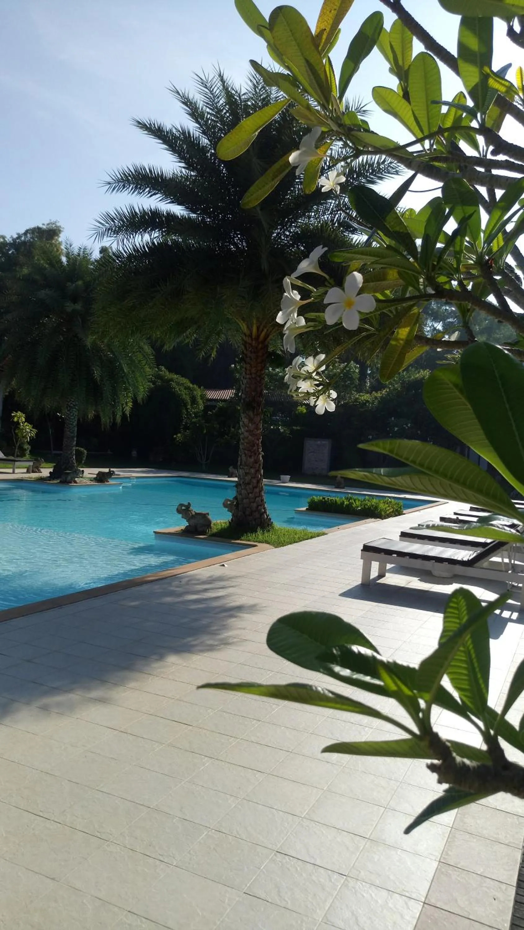 Swimming pool in Armonia Village Resort and Spa