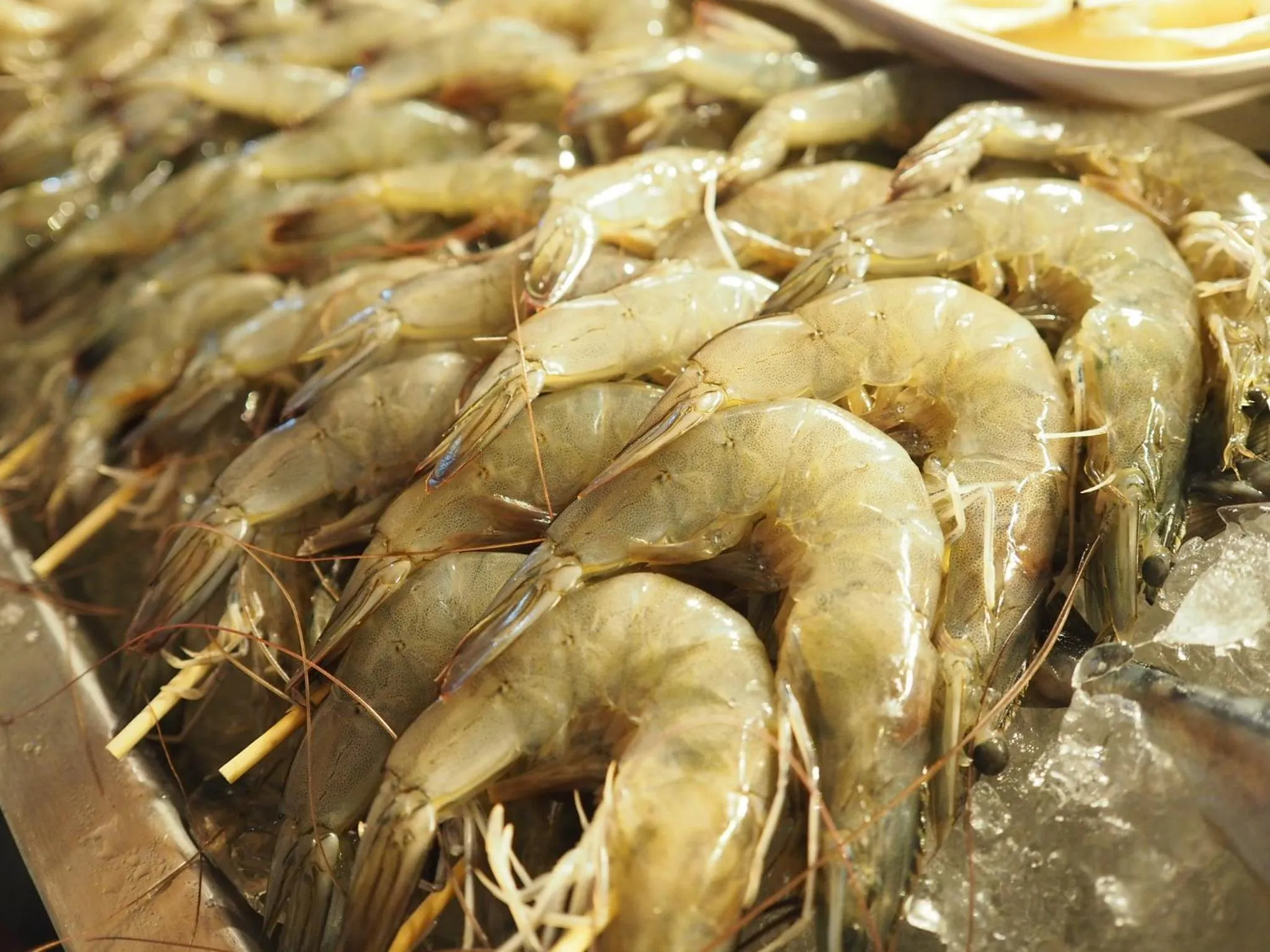 Restaurant/places to eat in Arita Hotel Patong