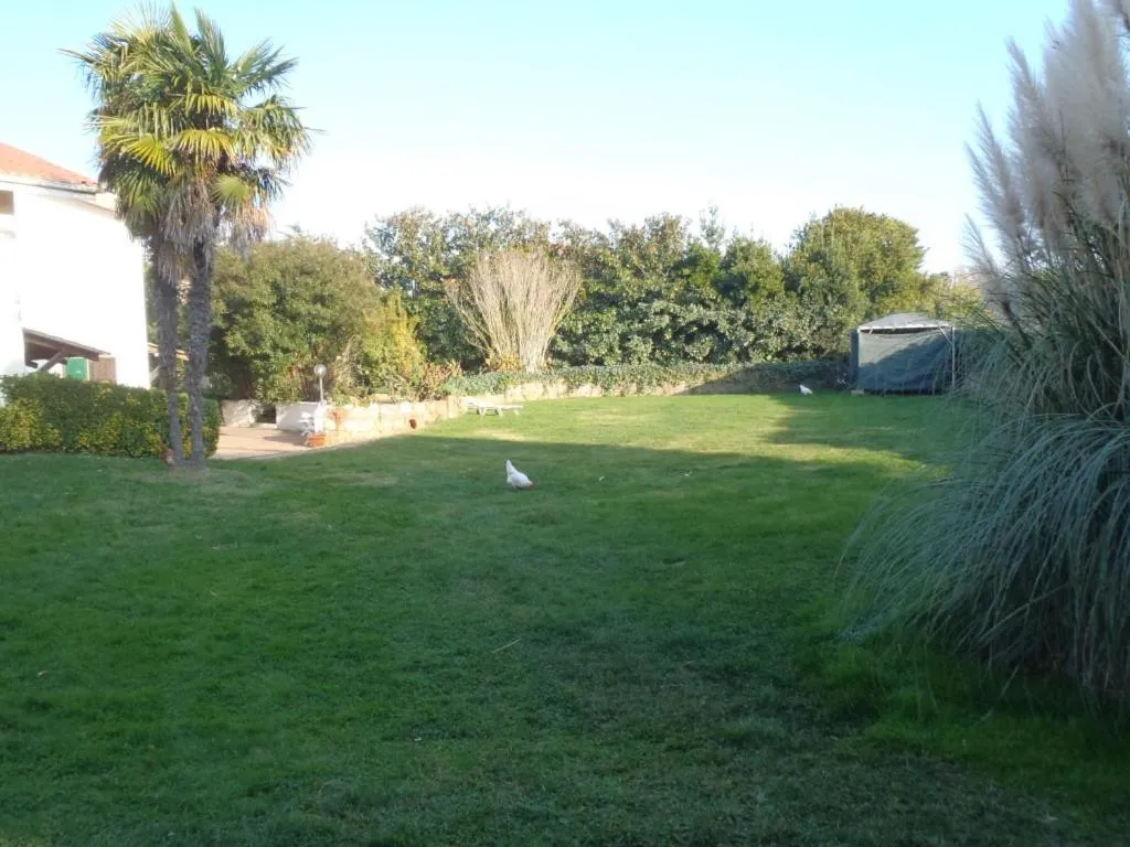 Garden in B&B Villa Sans Souci