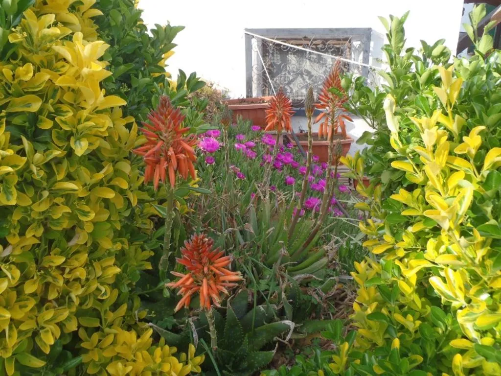 Garden in B&B Villa Sans Souci