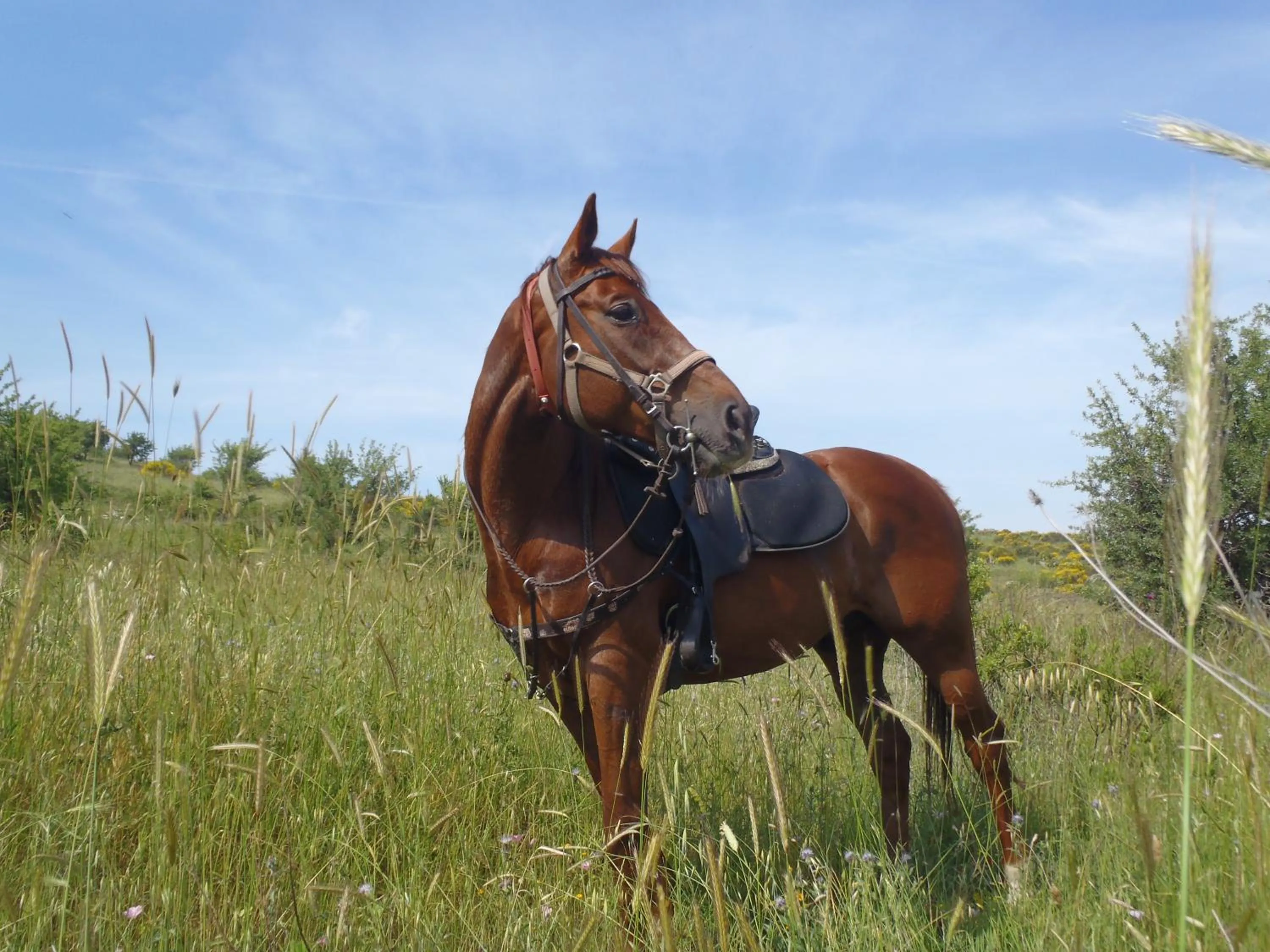 Property building in B&B Villa Sans Souci