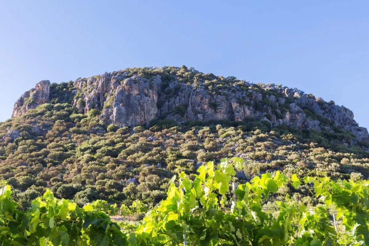 Natural landscape in Hotel Sa Tanca E Bore