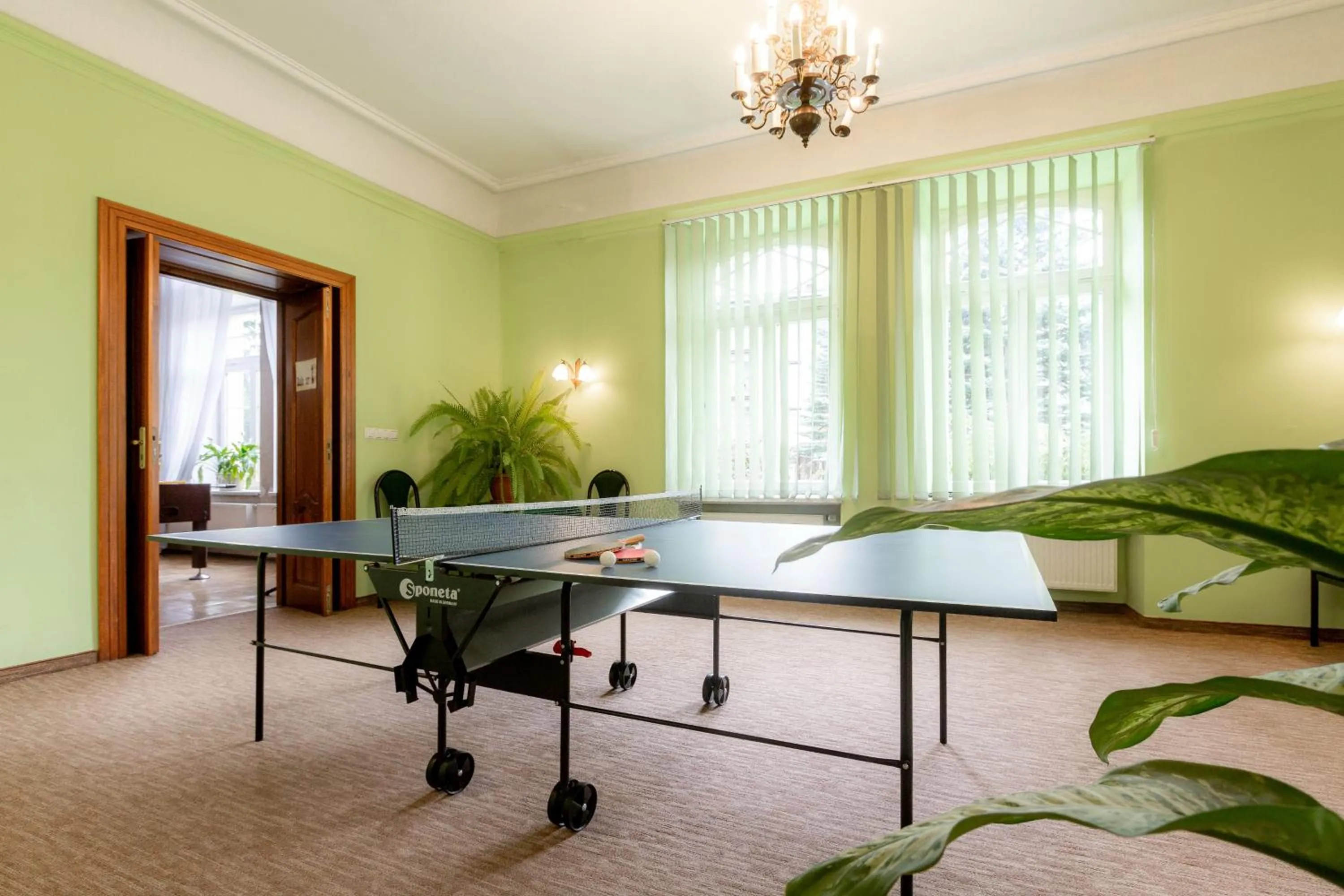 Table tennis in Halny Pensjonat