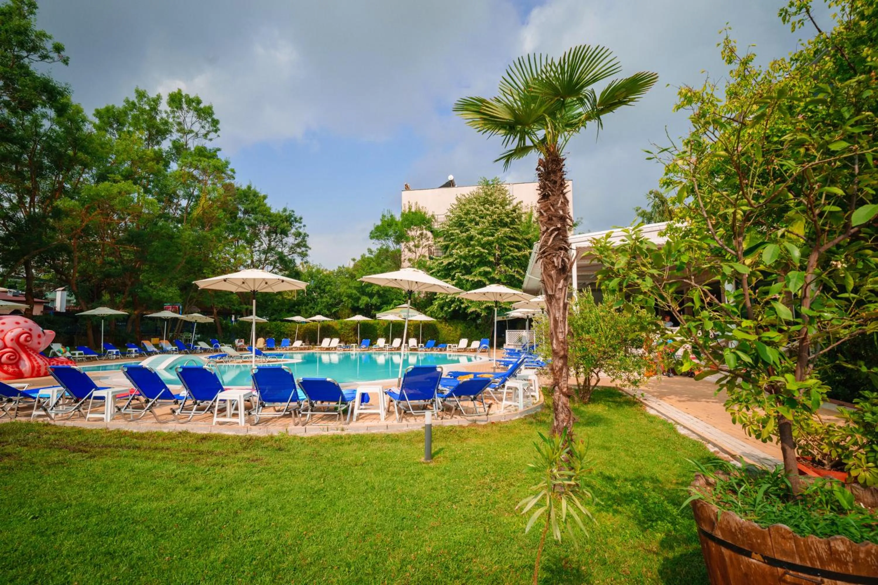 Swimming pool in Perla Plaza Hotel - All Inclusive