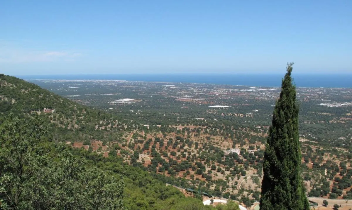 Garden in I Trulli Di Acquarossa