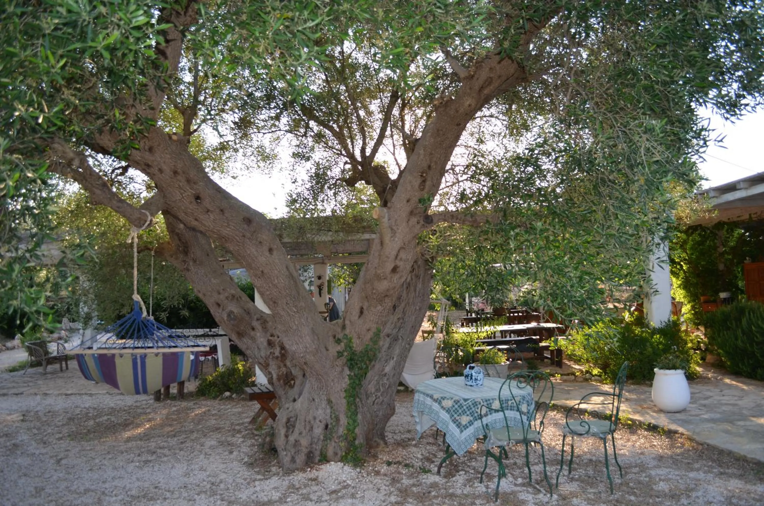 Restaurant/places to eat in I Trulli Di Acquarossa