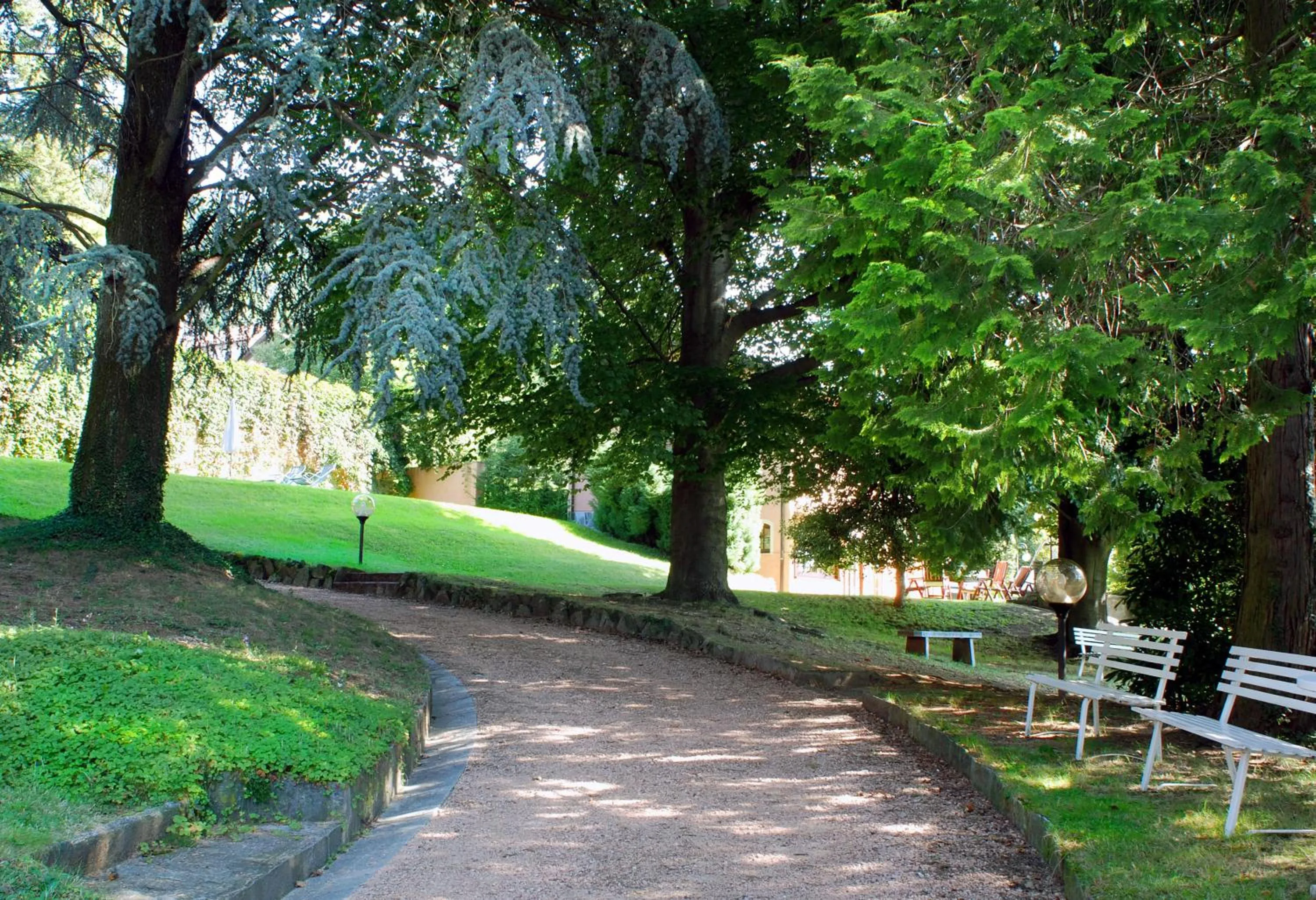 Garden in Hotel Moderno