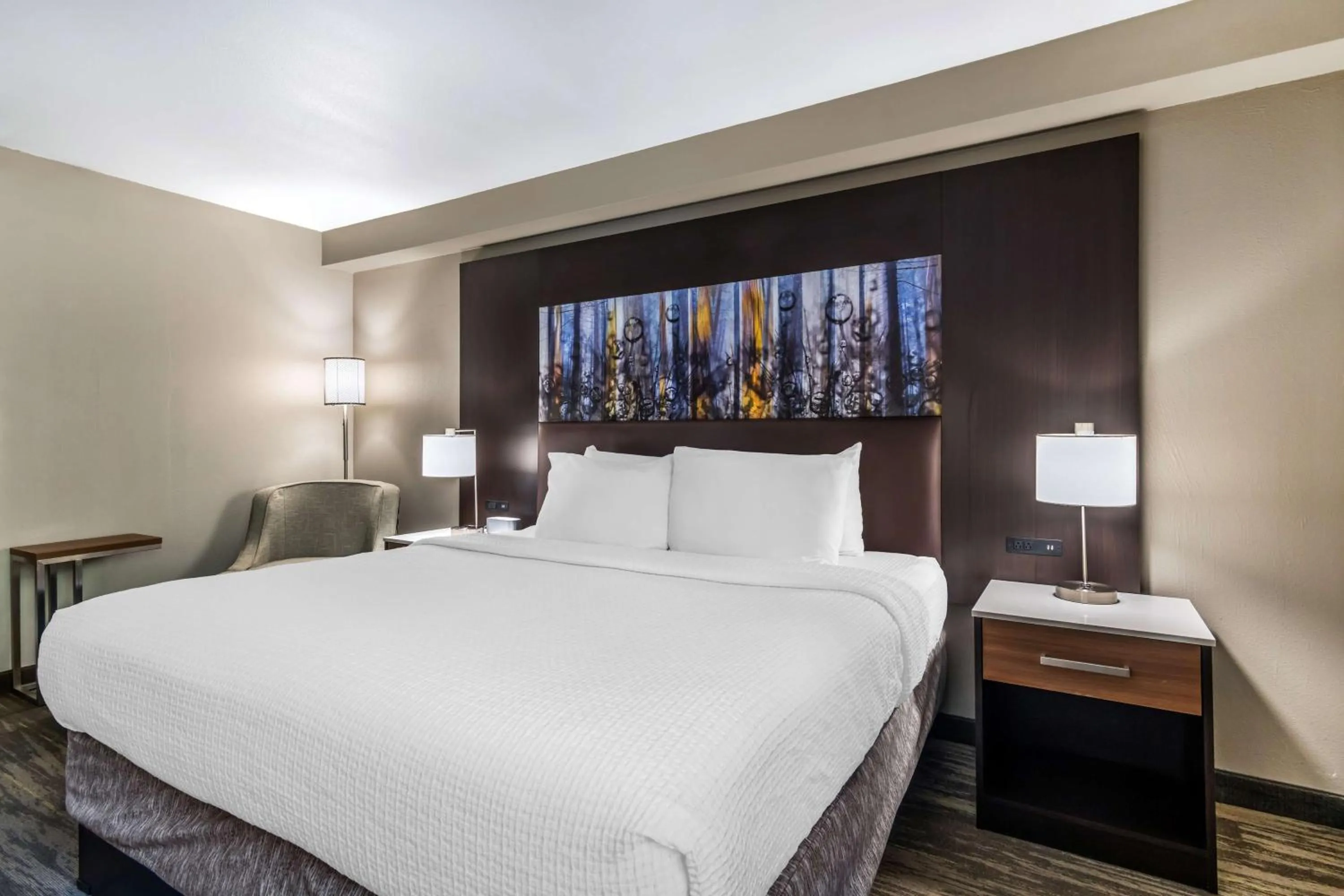 Bedroom, Bed in Best Western Atlanta-Marietta Ballpark Hotel