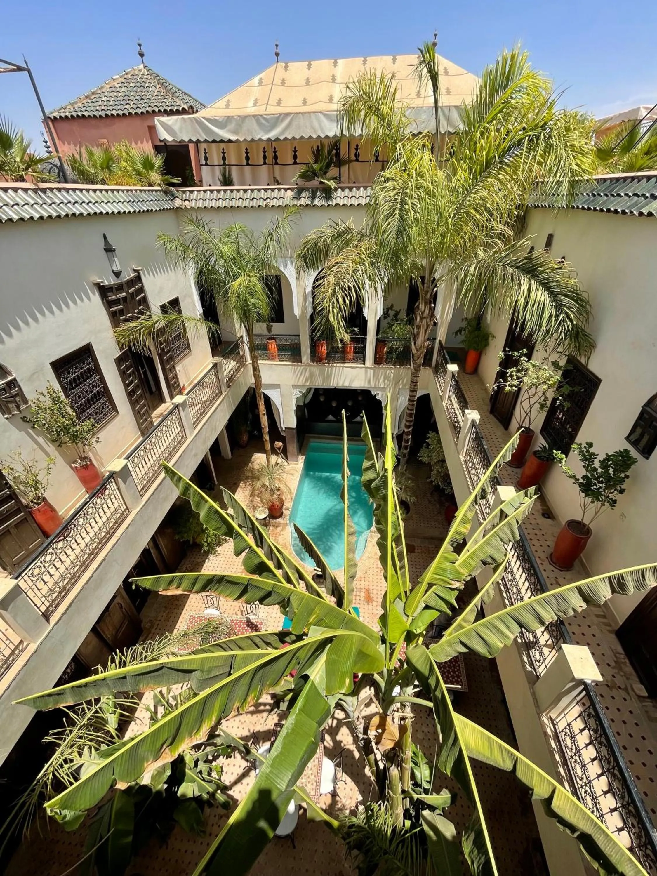Swimming pool in Riad Pachavana