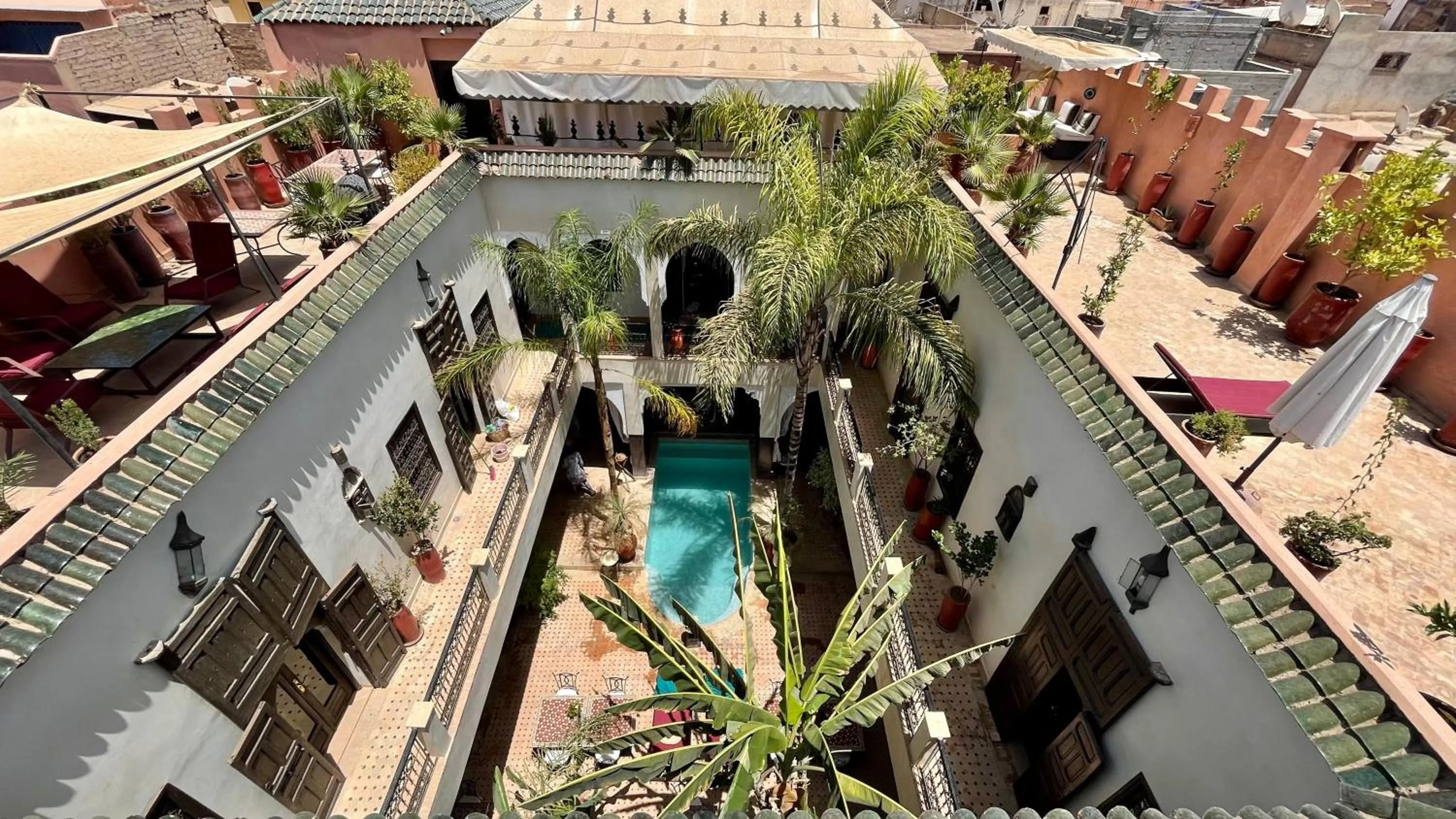 Swimming pool in Riad Pachavana