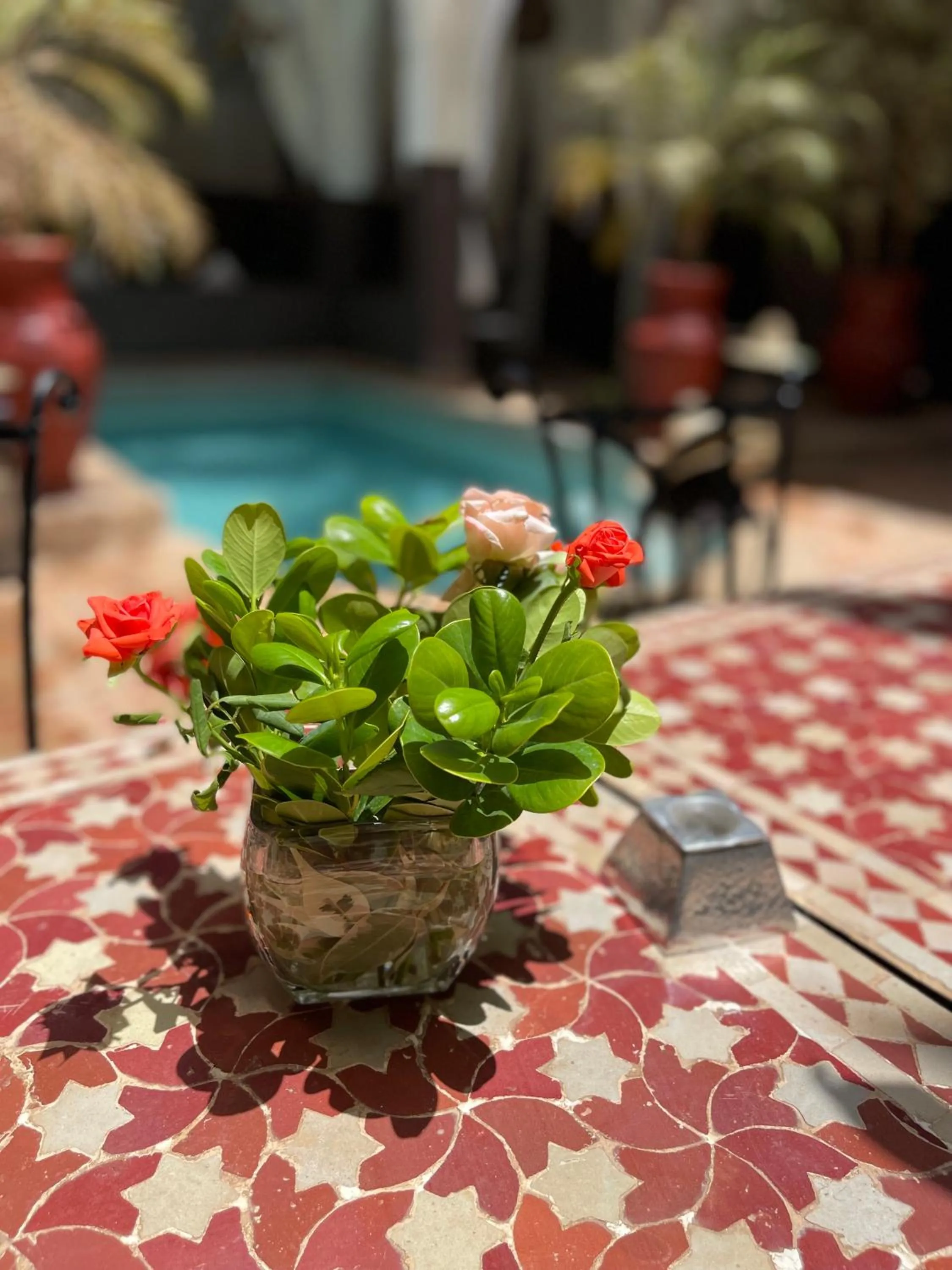 Swimming pool in Riad Pachavana
