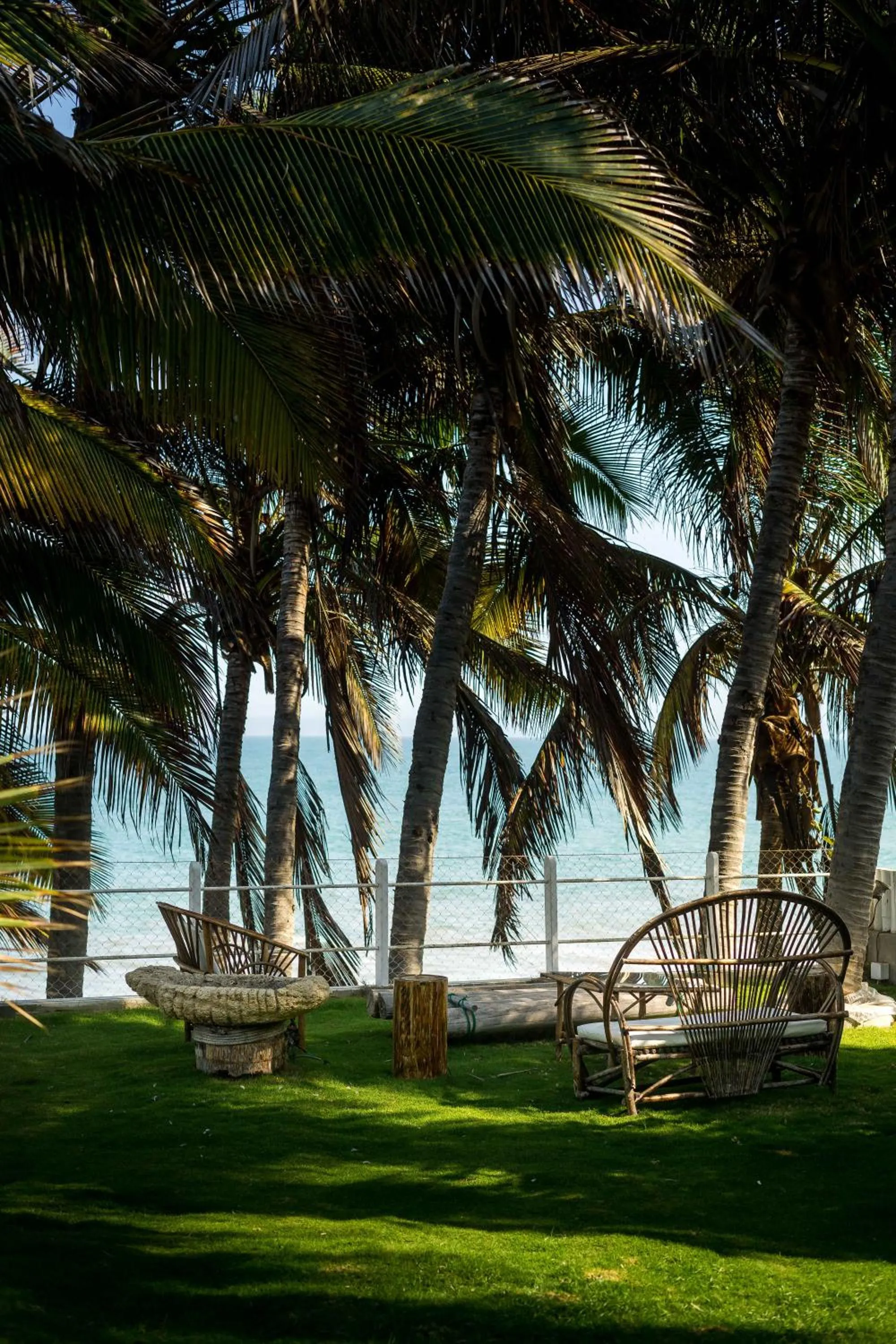 Garden in Sunset Mancora