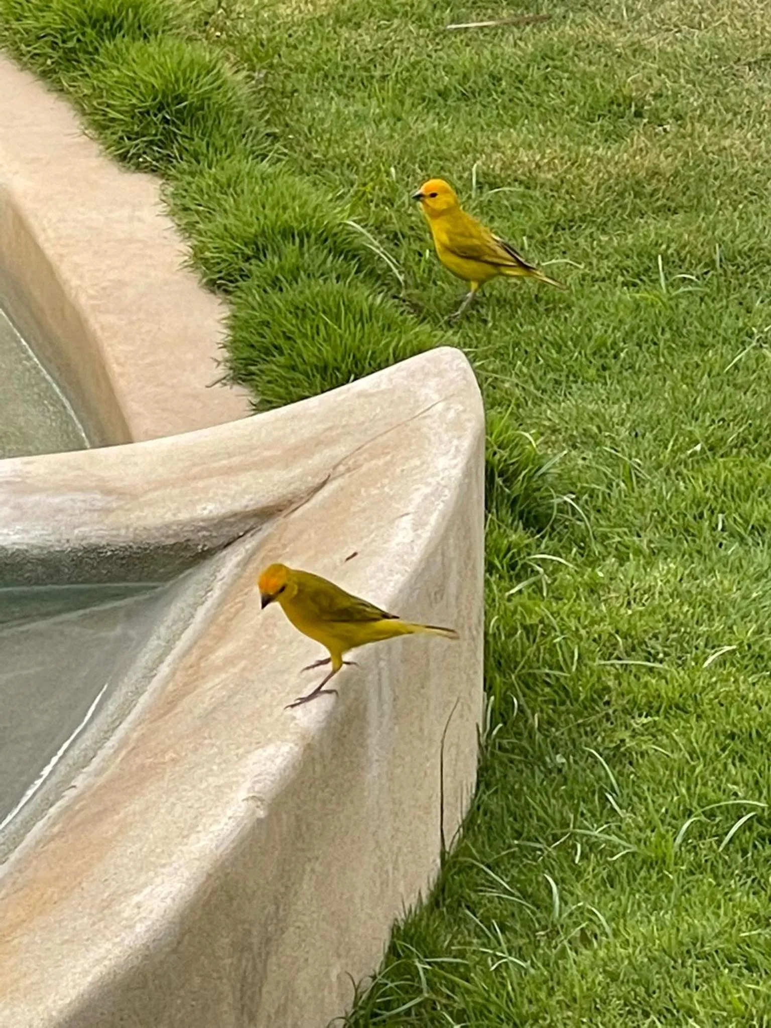 Patio in Sunset Mancora