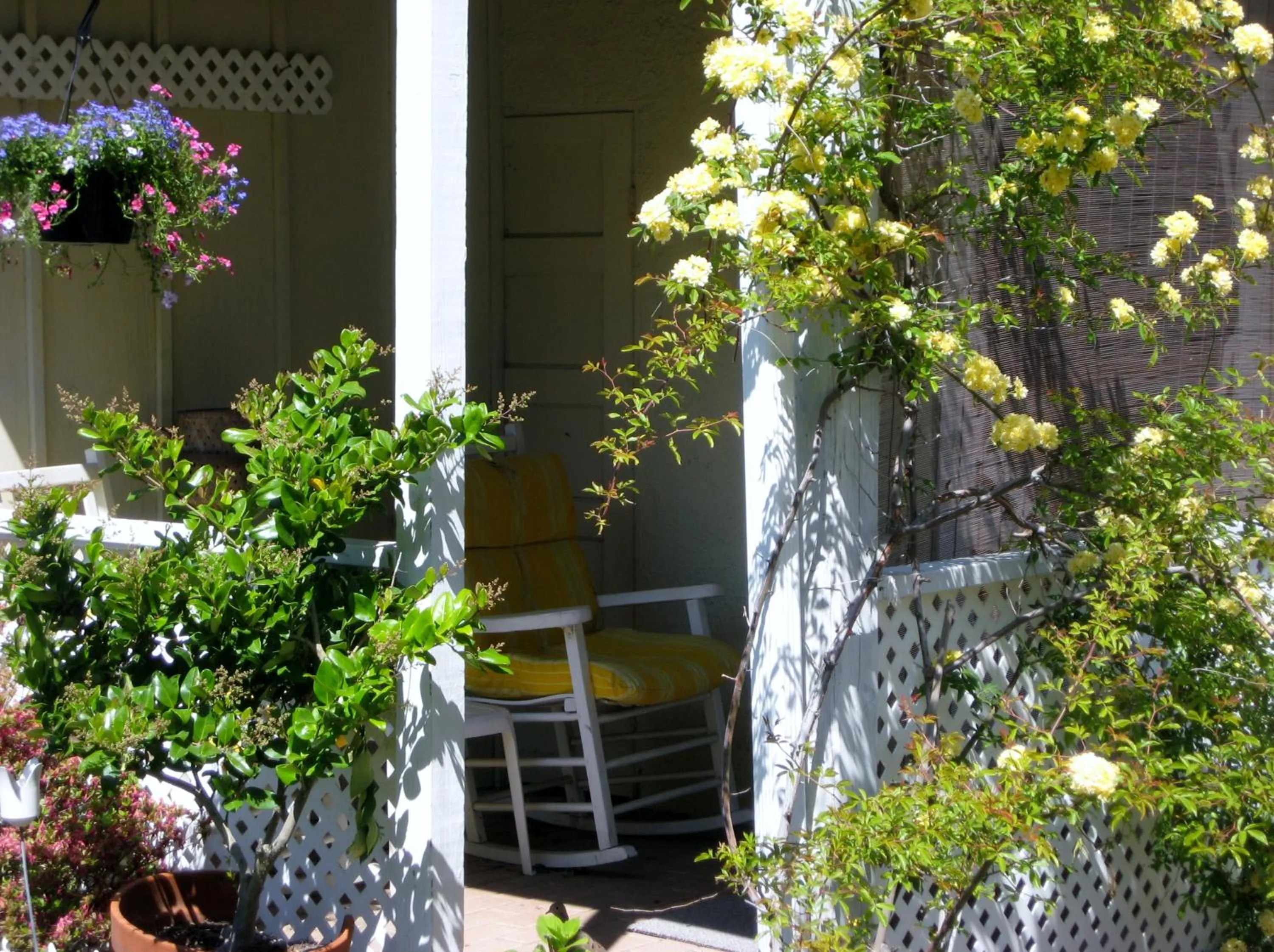Patio in Cutty Sark Efficiencies and Historic Cottage's