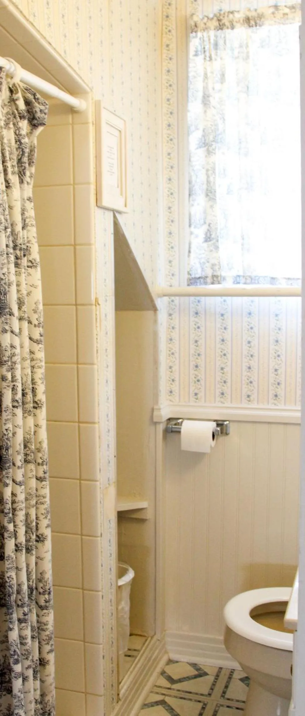 Cutty Sark Efficiencies and Historic Cottage's