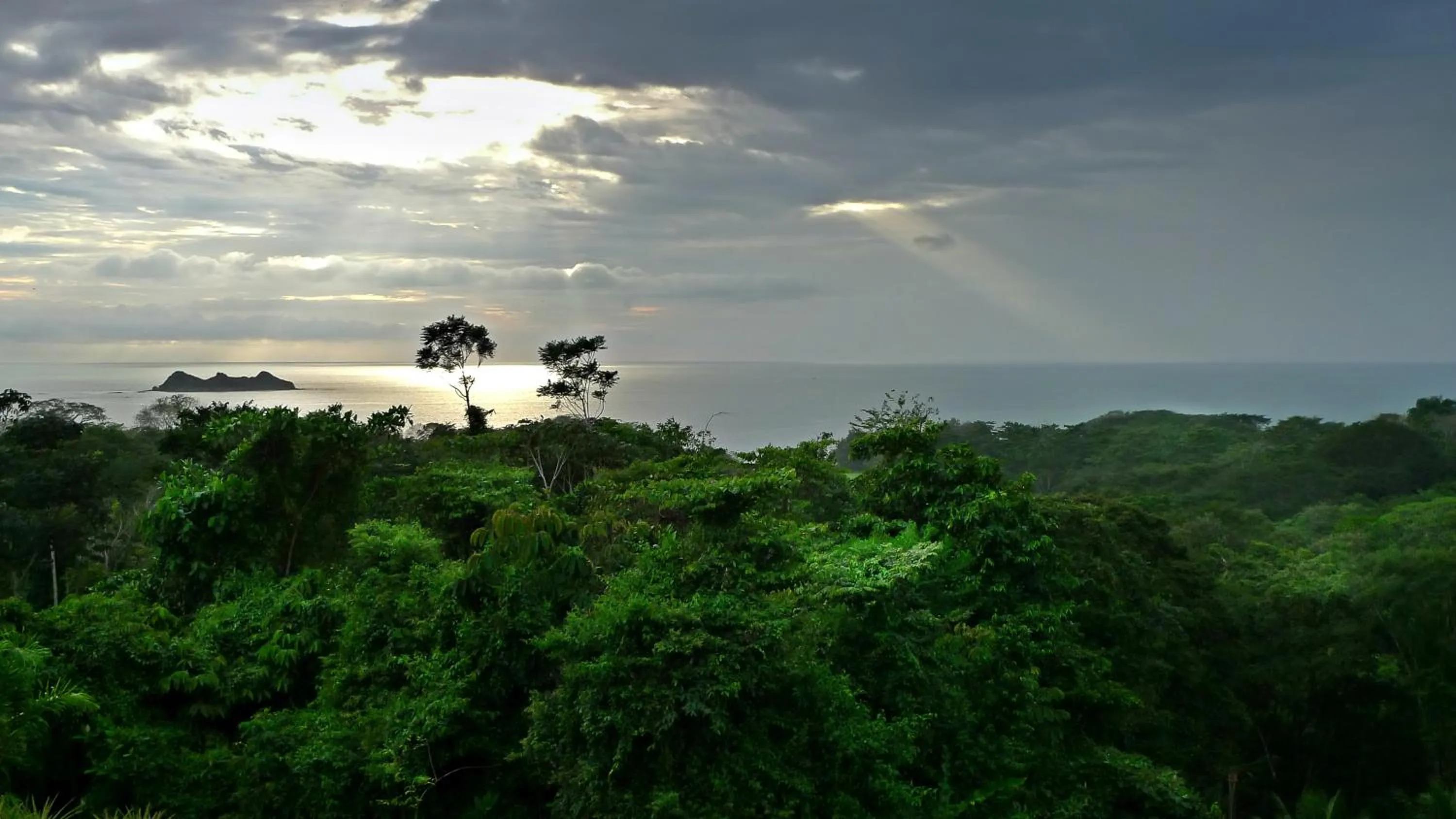 Sea view in Cristal Ballena Boutique Hotel & Spa
