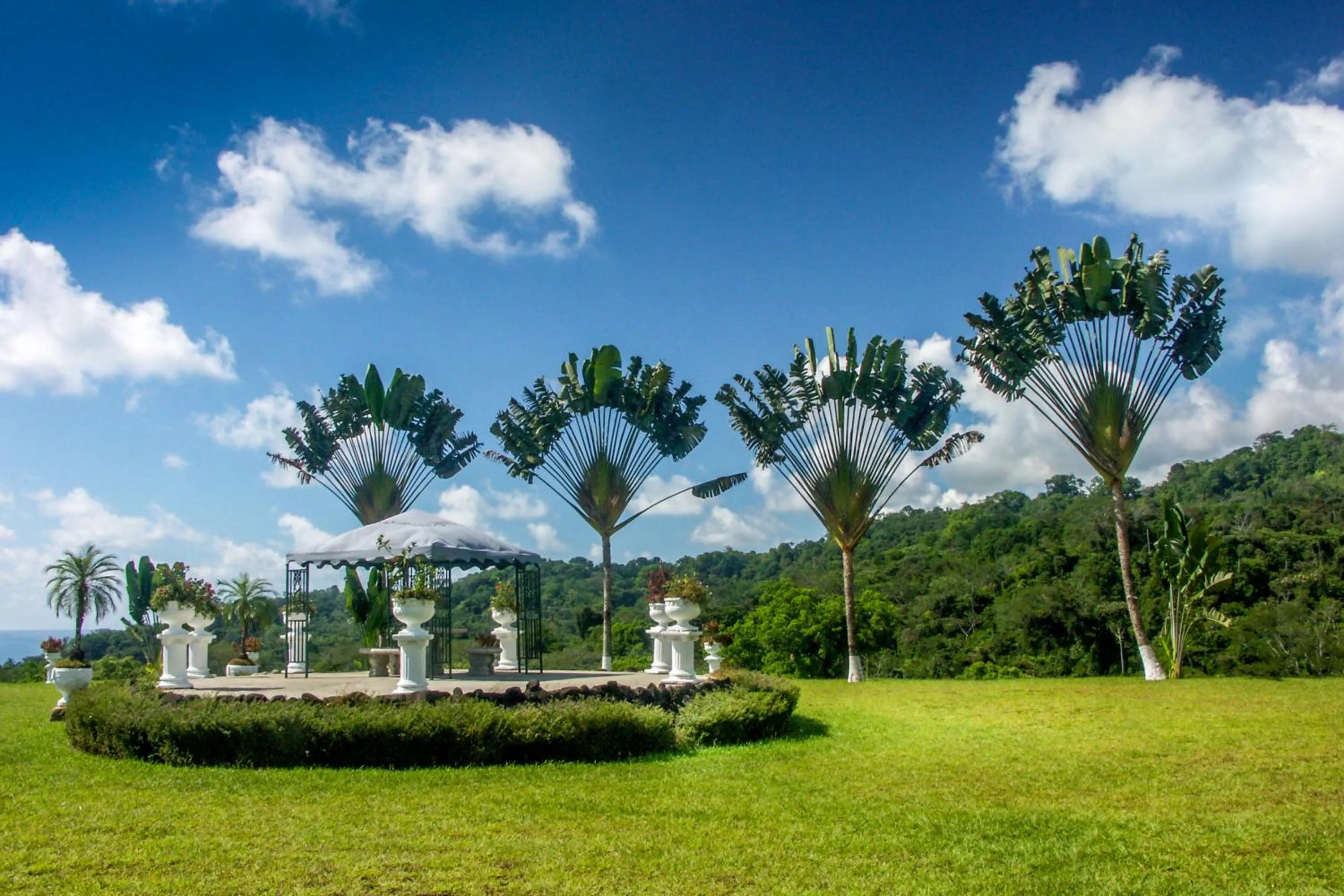 Facade/entrance in Cristal Ballena Boutique Hotel & Spa