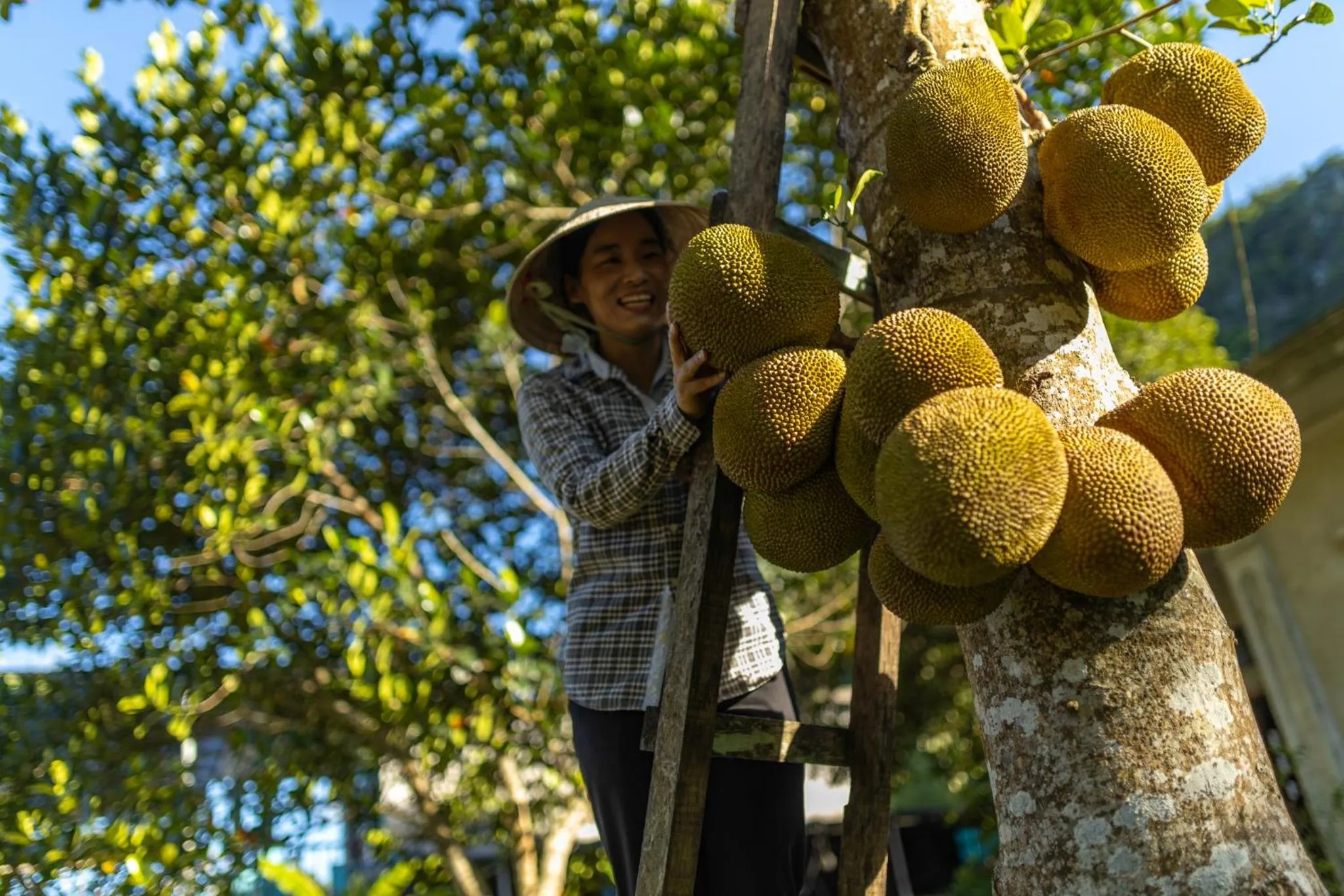 People in The Au Co Cruise - Managed by Bhaya Cruises