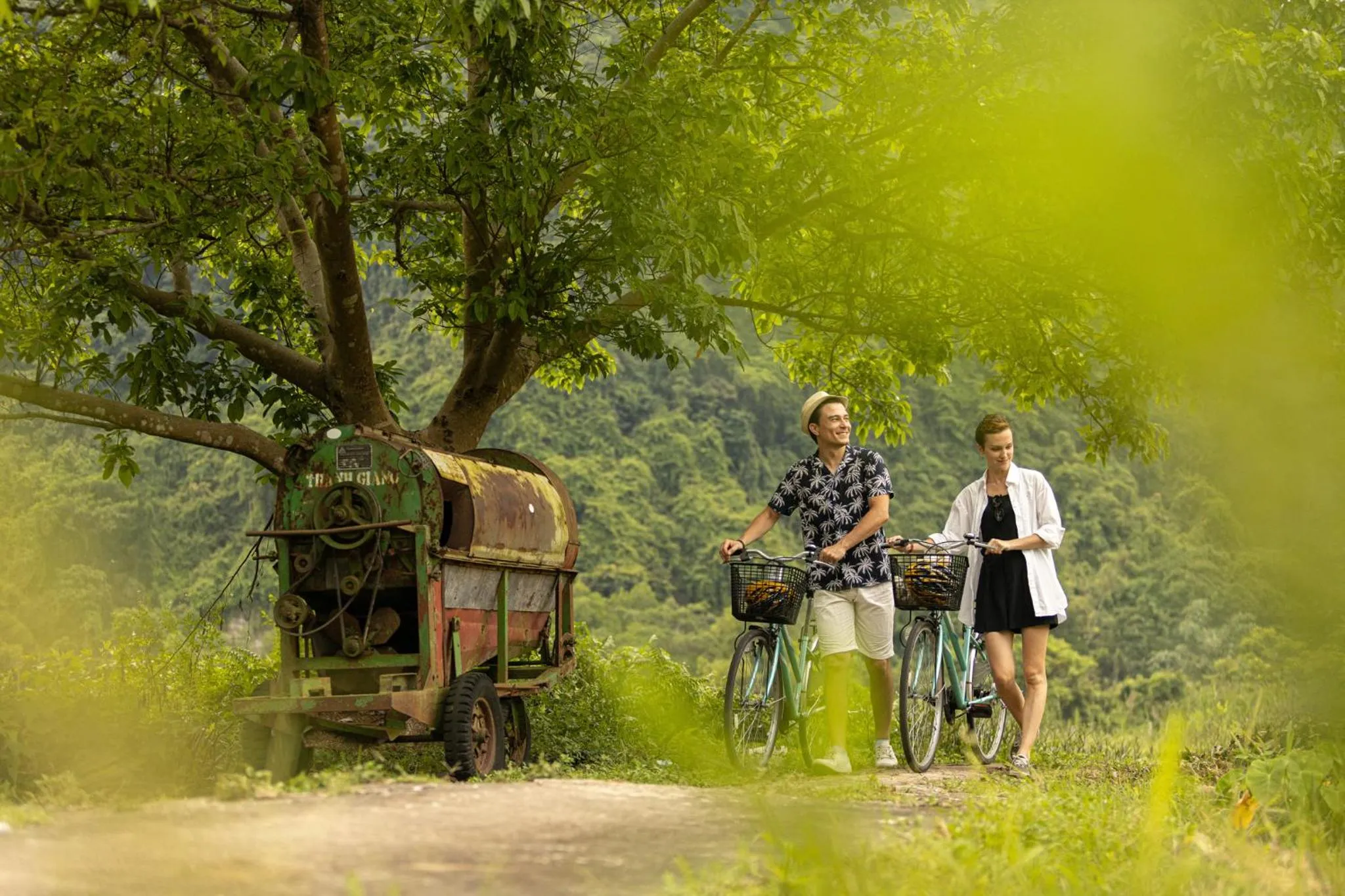 Natural landscape in The Au Co Cruise - Managed by Bhaya Cruises