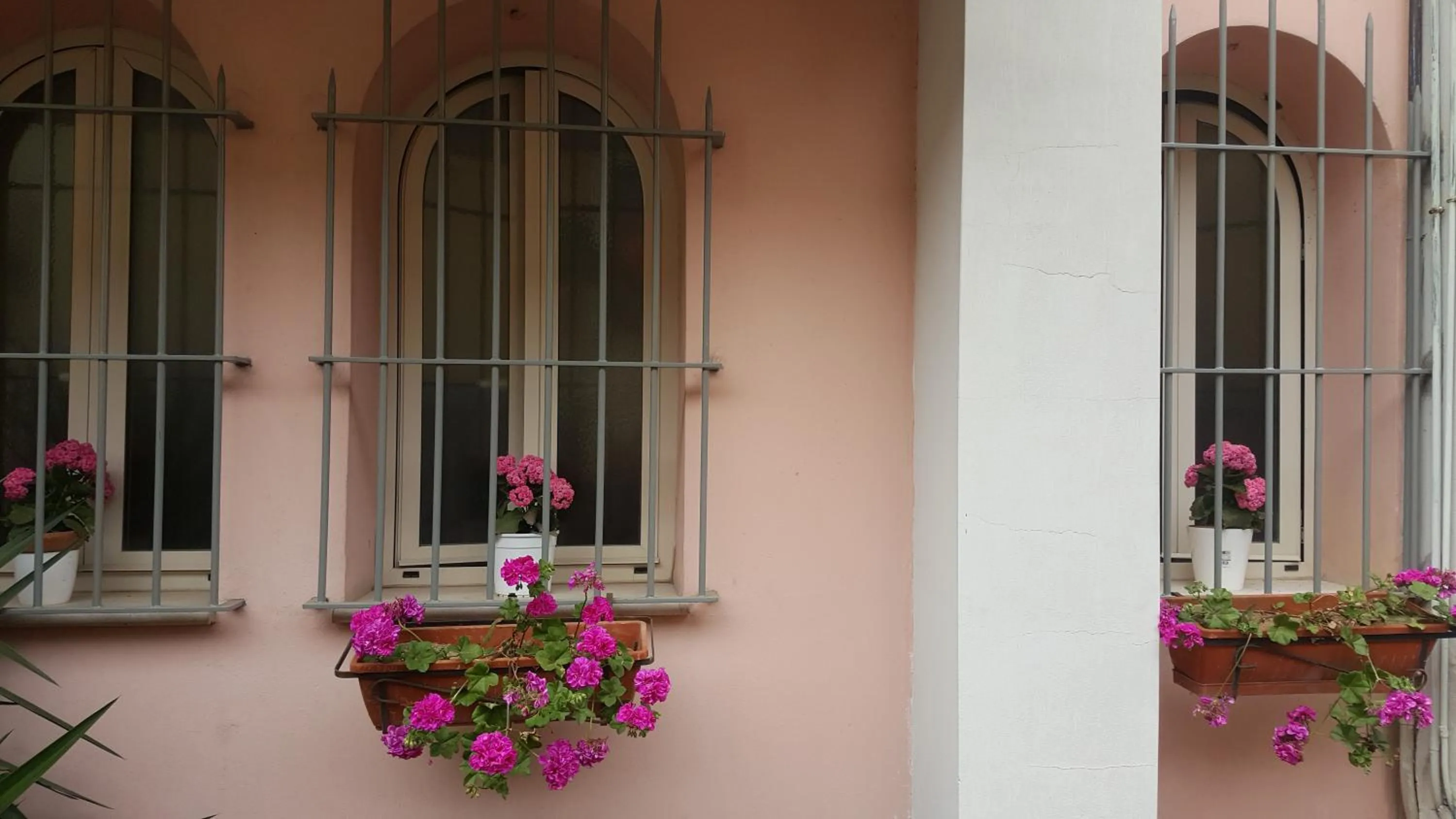 Property building in FioreStella