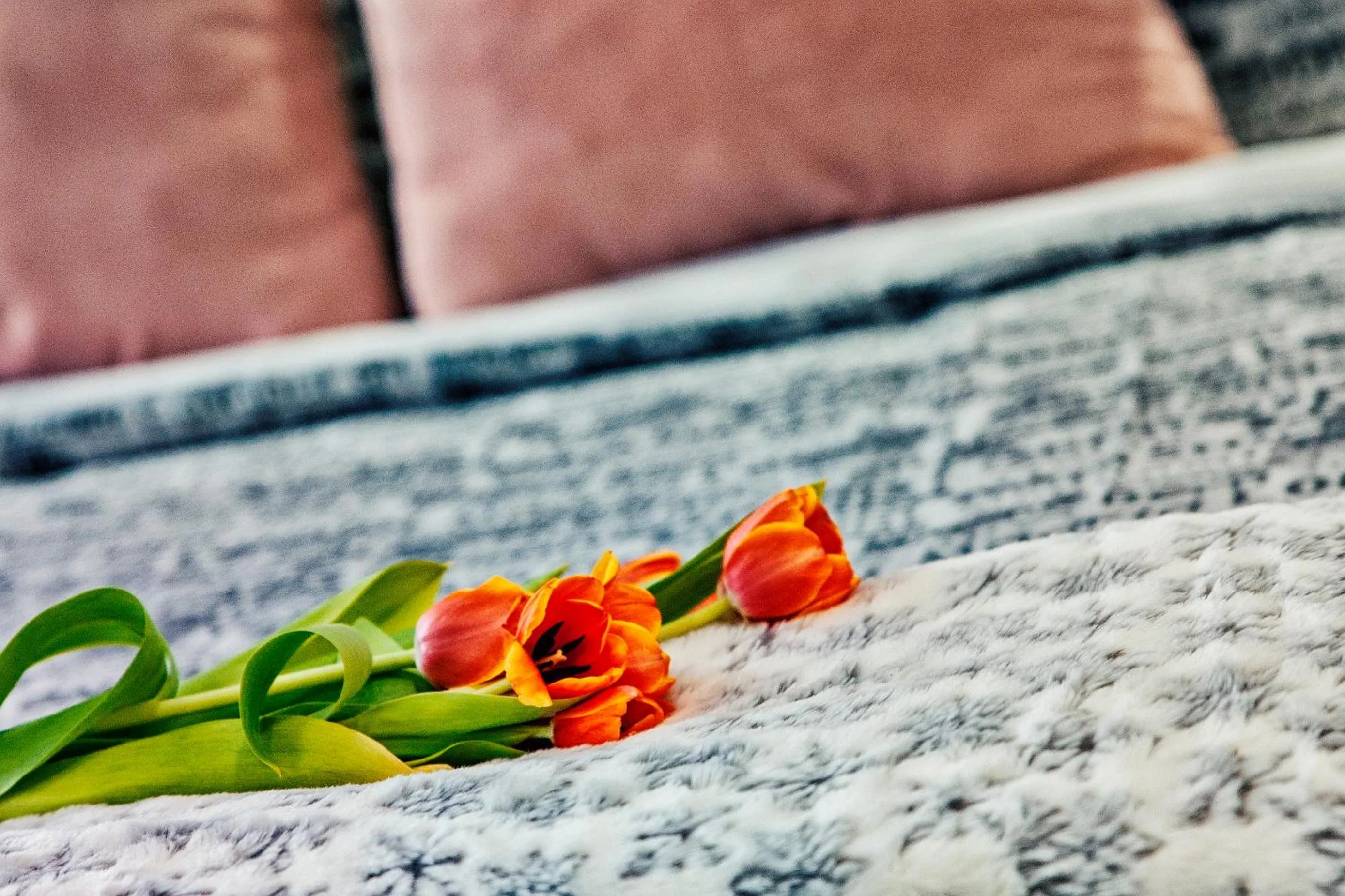 Bathroom in T-Homes - Cuenca