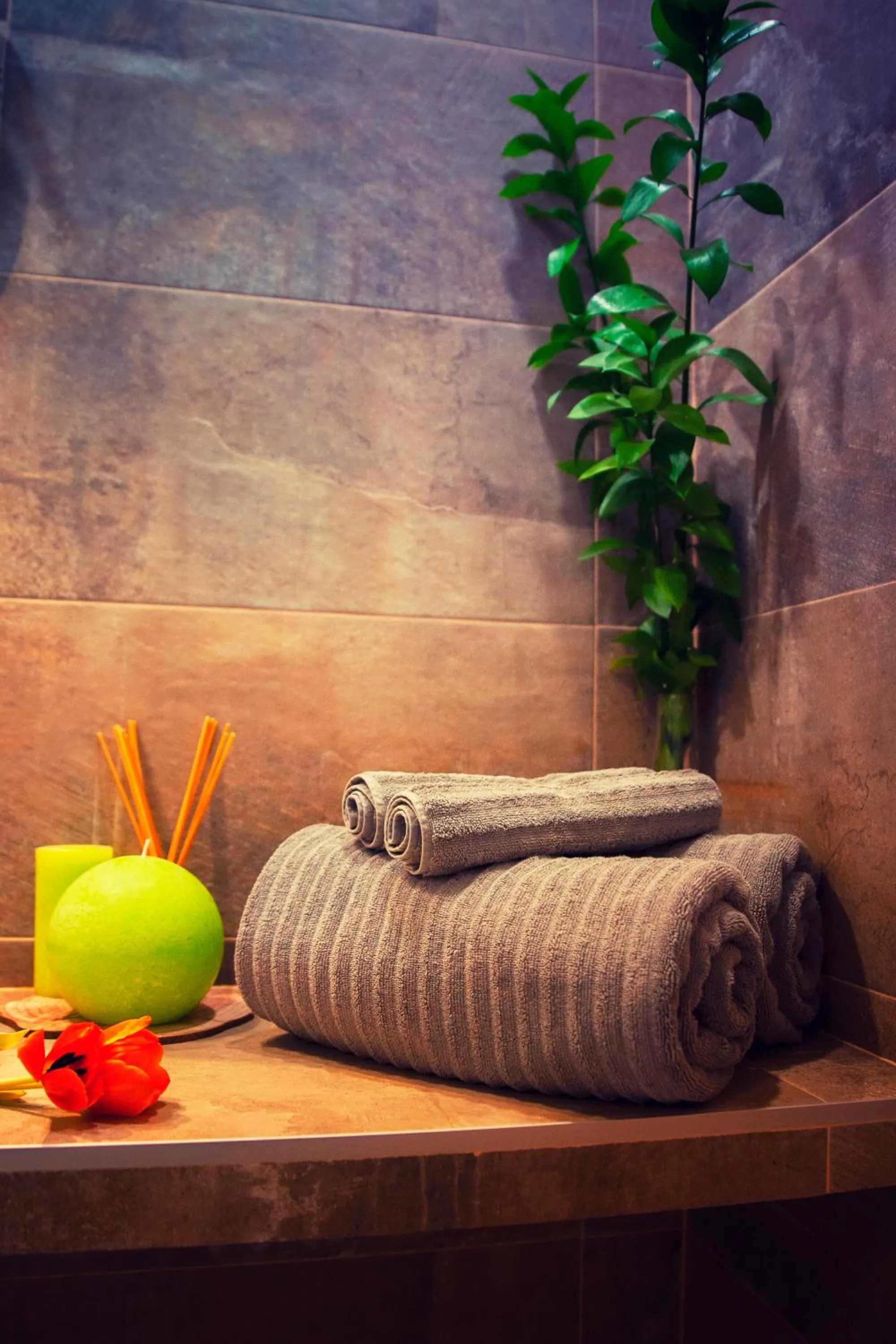 Bathroom in T-Homes - Cuenca