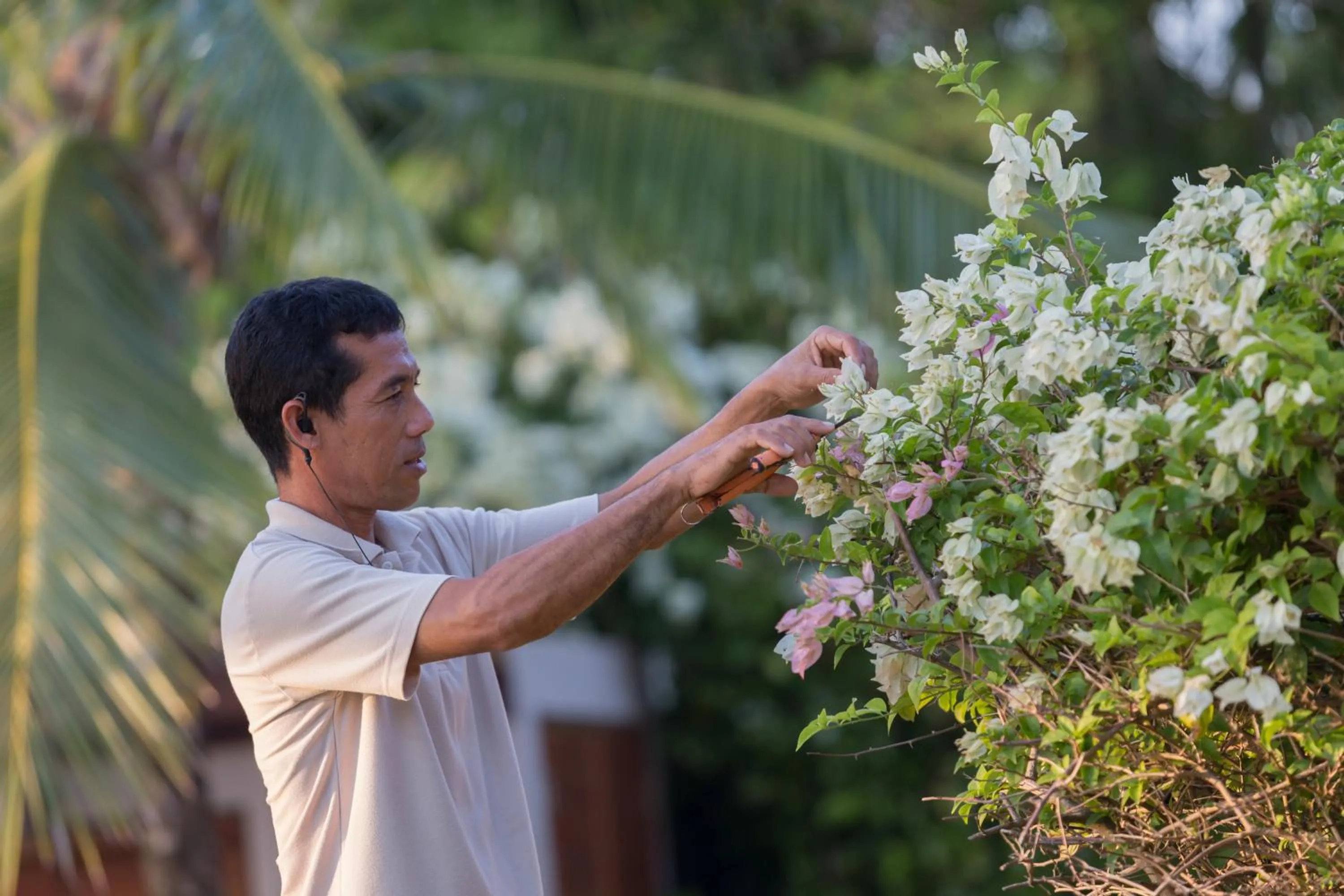 Garden in Villa Sundara - SHA Extra Plus