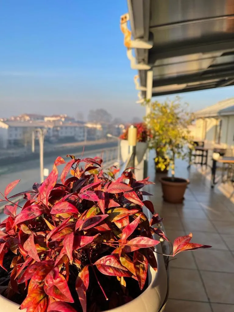 Day in Gosterisli Otel