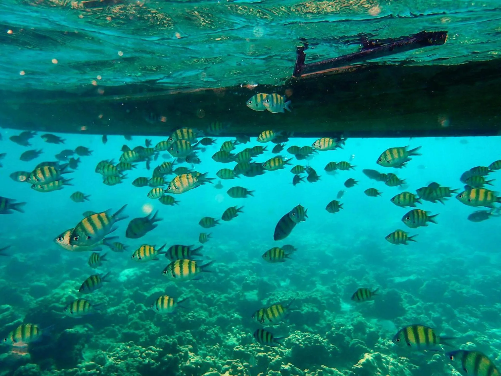 People in Phuket Meet Holiday Hotel-Rawai 普吉岛相遇花园度假酒店-拉威店