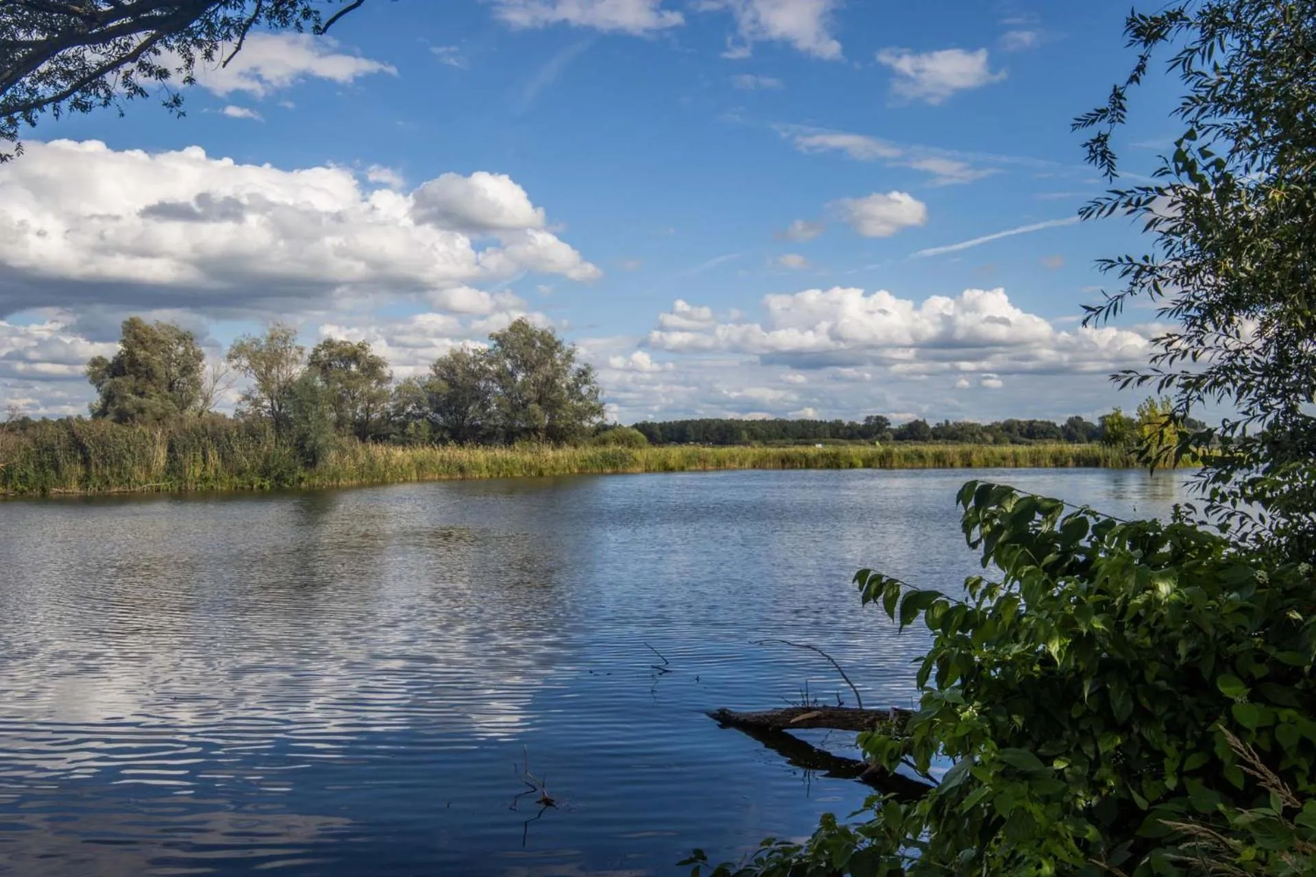 View (from property/room) in Seehotel Brandenburg an der Havel