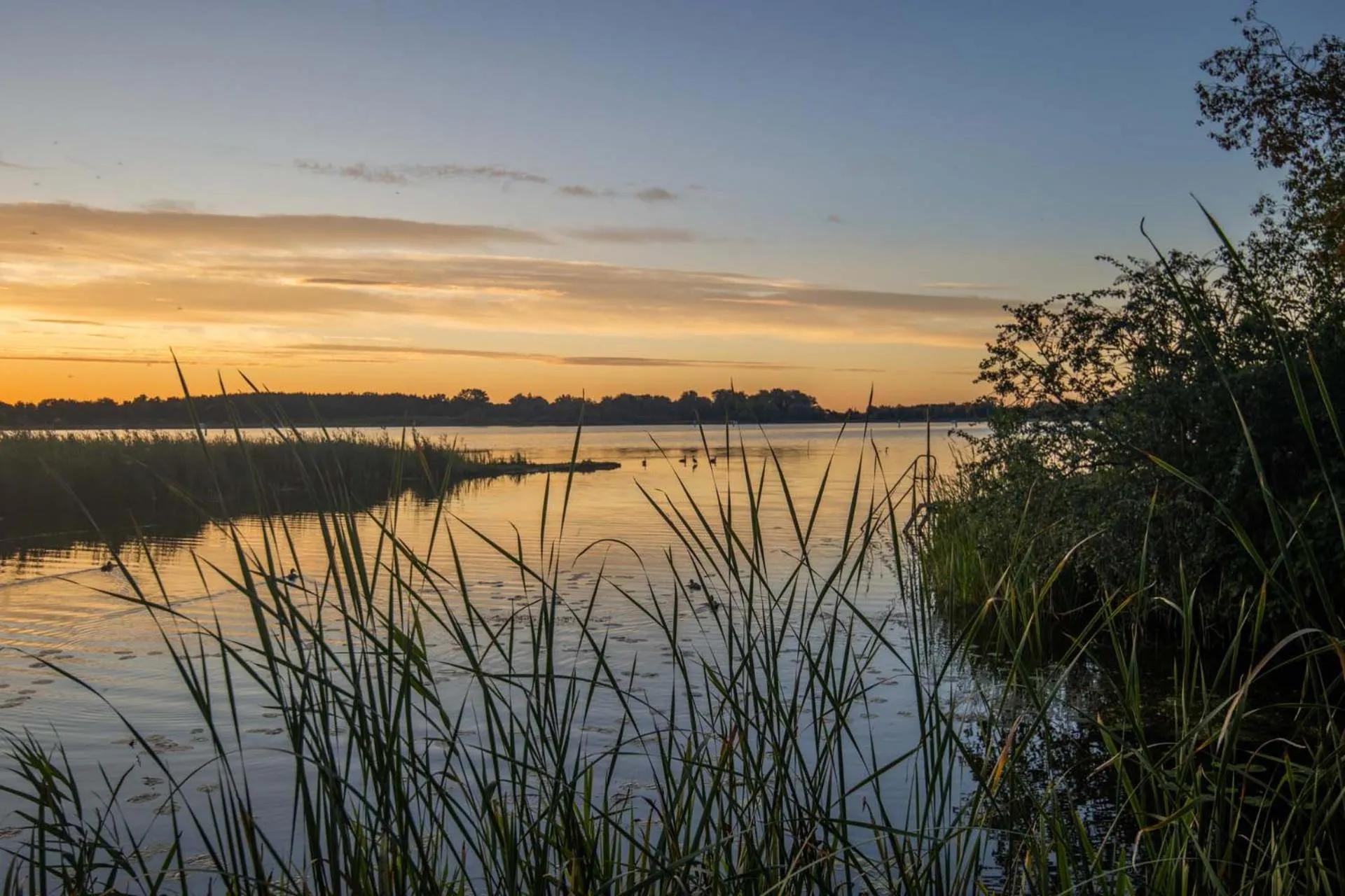 View (from property/room) in Seehotel Brandenburg an der Havel