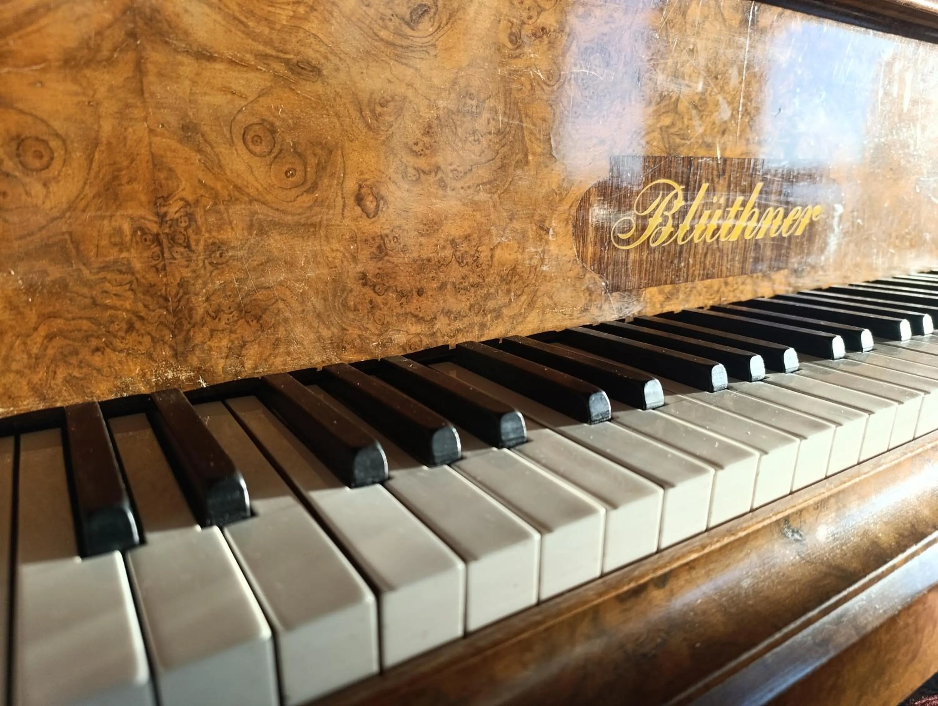 Villa Marini Trevisan