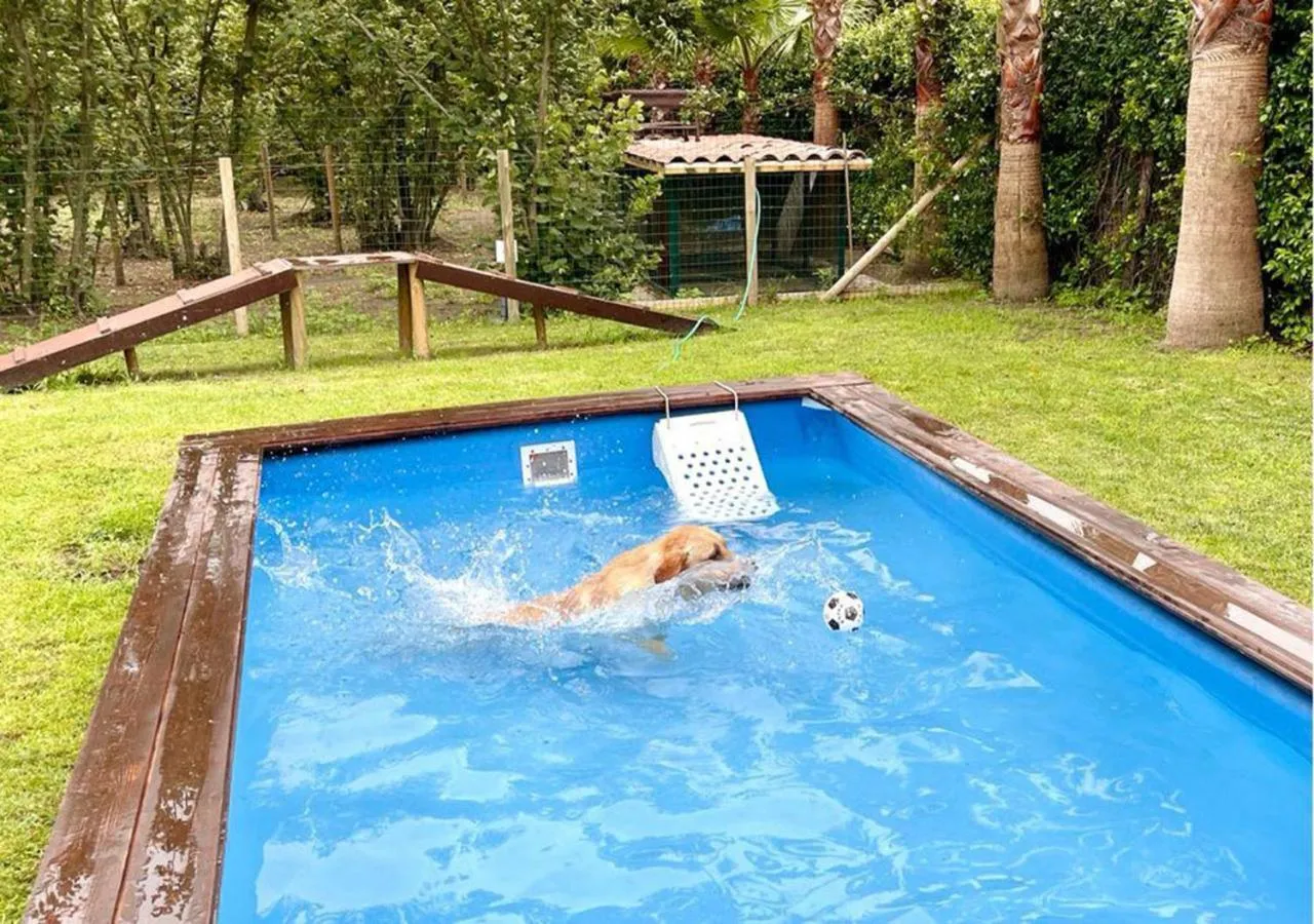 Animals in Hotel la Fenice