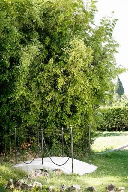 Garden in Hotel du Bosquet