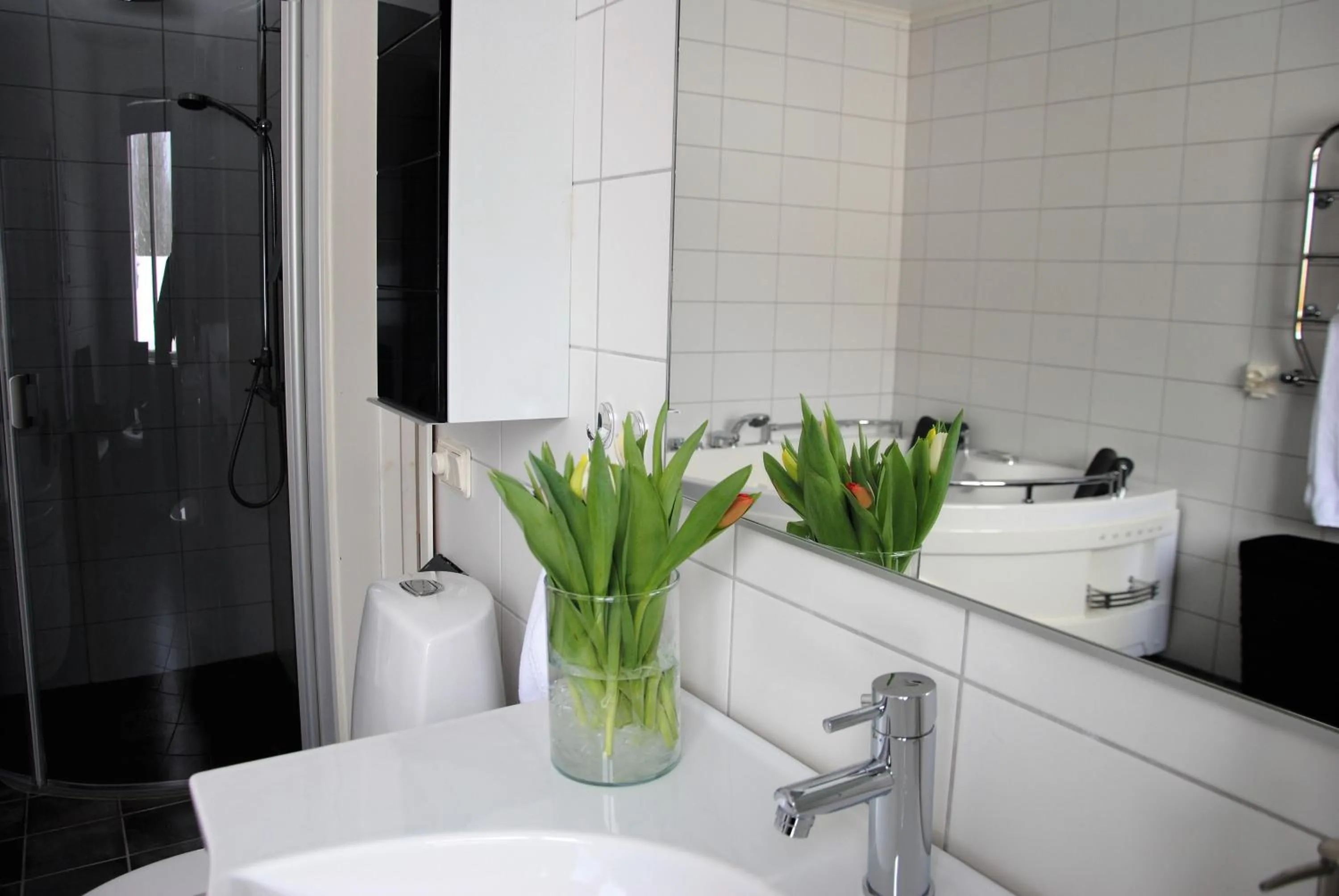 Bathroom in Hotell Björkhaga