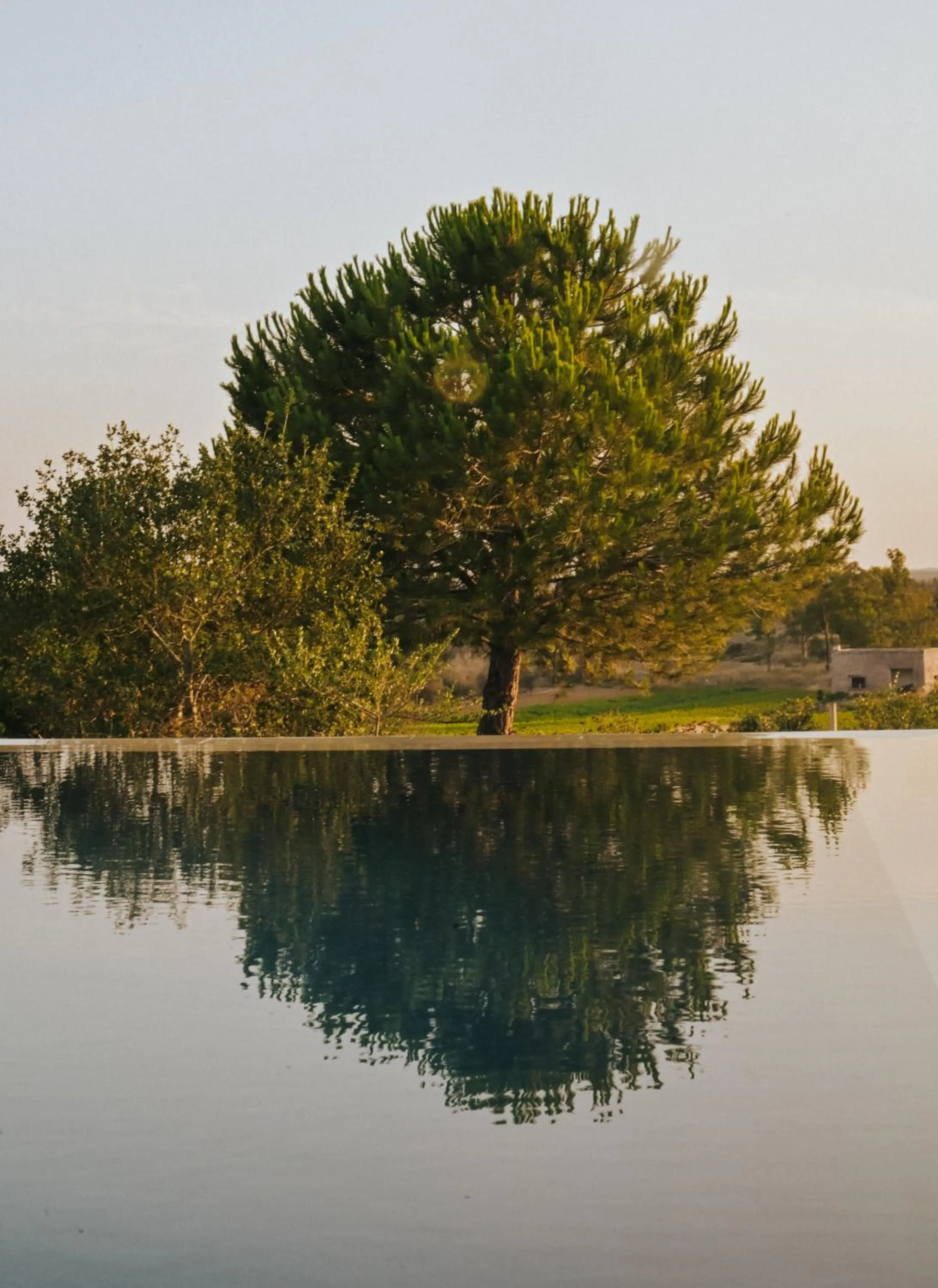 Swimming pool in Masseria Fabrizio