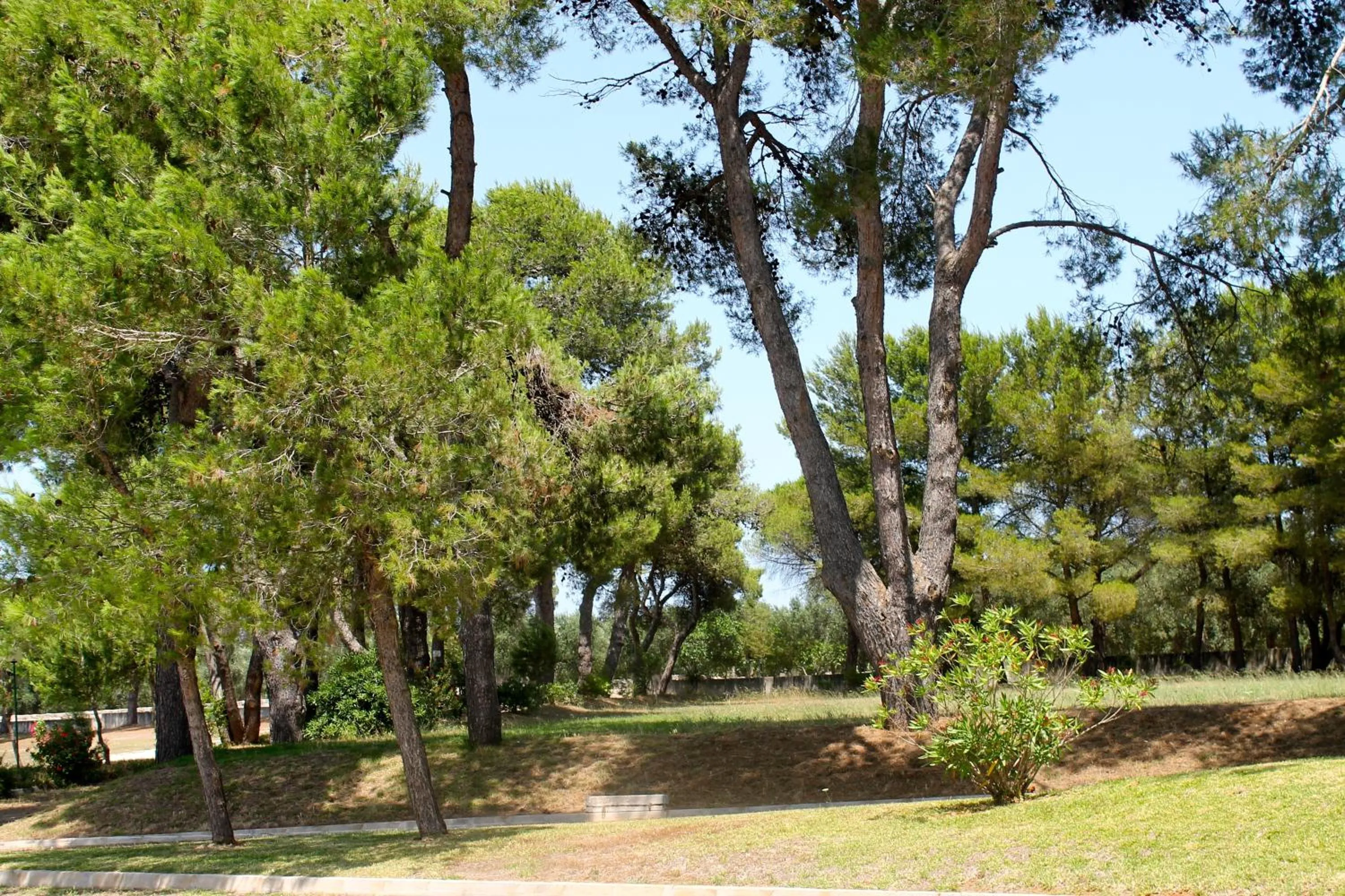 Day in Masseria Fabrizio