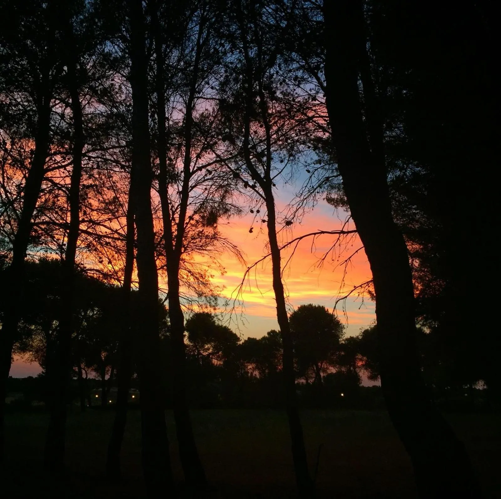 Natural landscape in Masseria Fabrizio