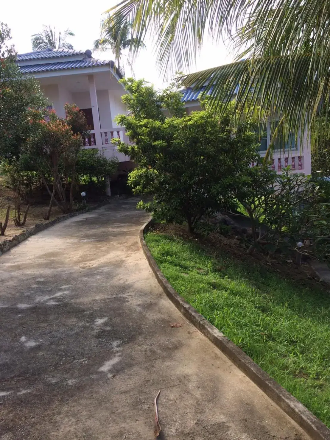 Bungalow with Garden View in Dragon Hut Resort Bungalow with Garden View in Dragon Hut Resort