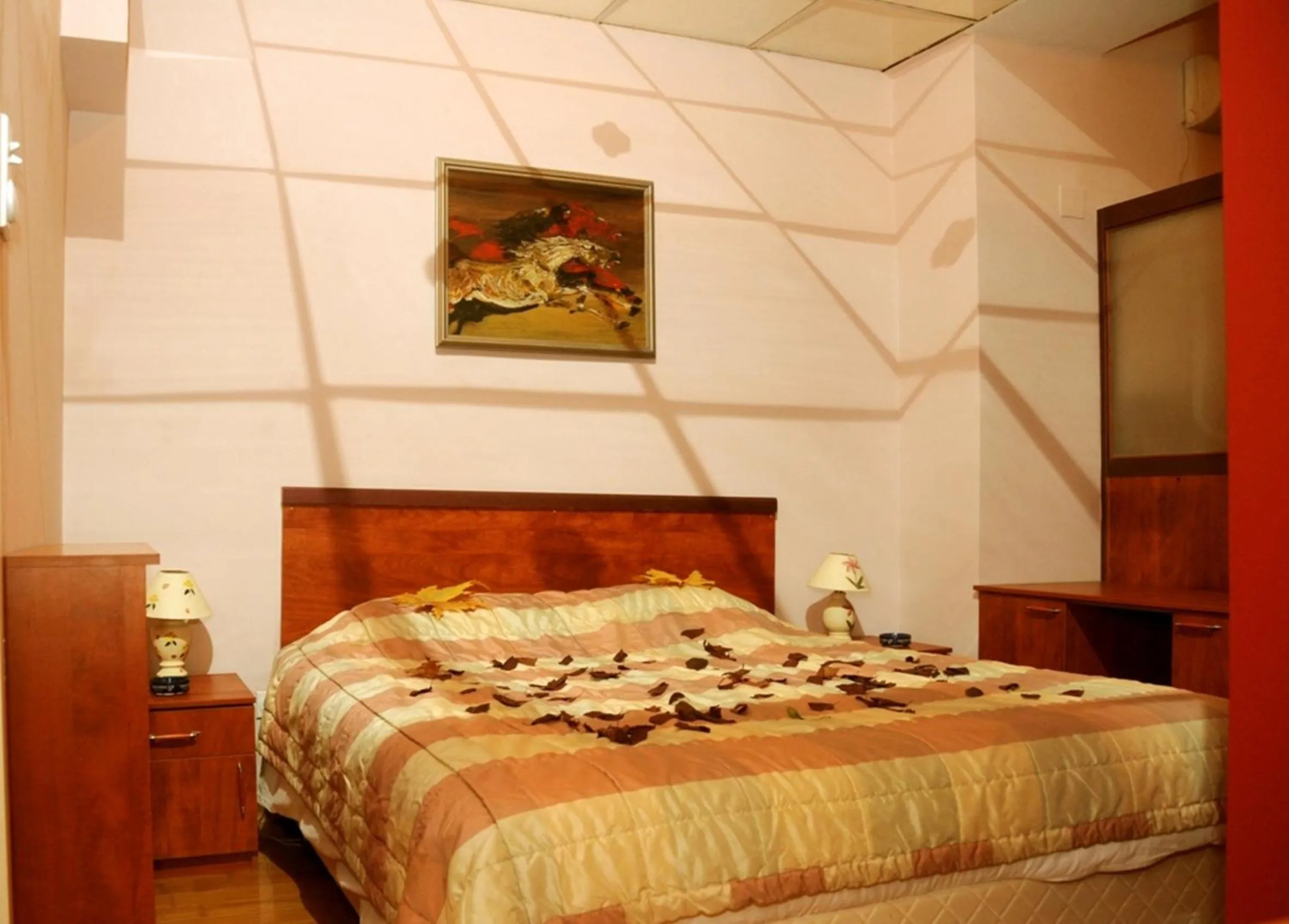 Bed in Hotel Tomce Sofka