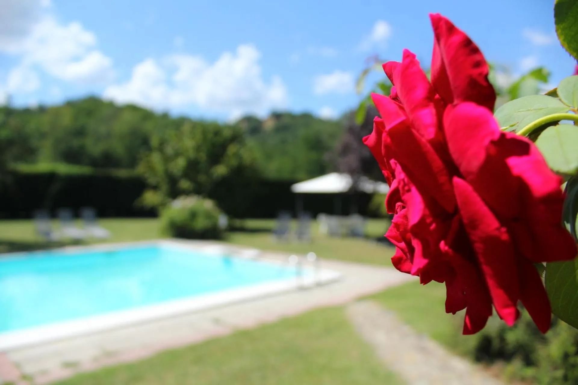 Decorative detail in Il Casolare