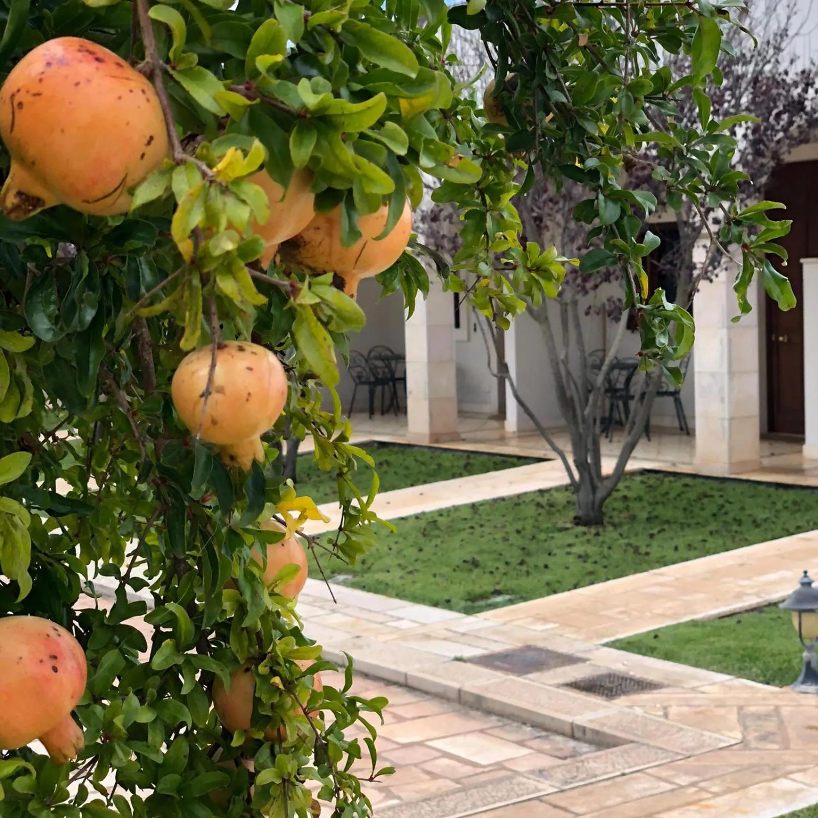 Property building in Hotel Relais Antica Masseria